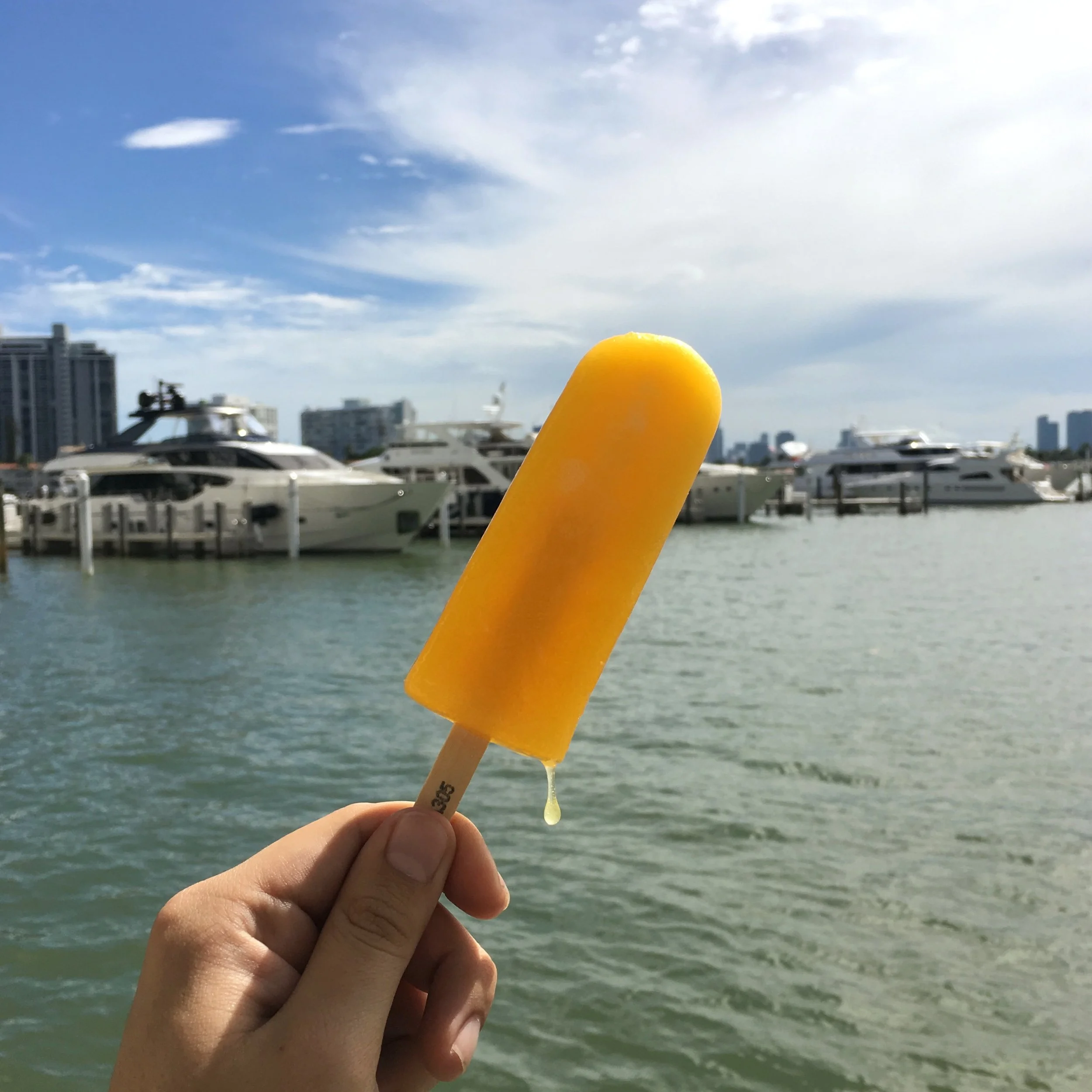 IMG_8878.jpeg