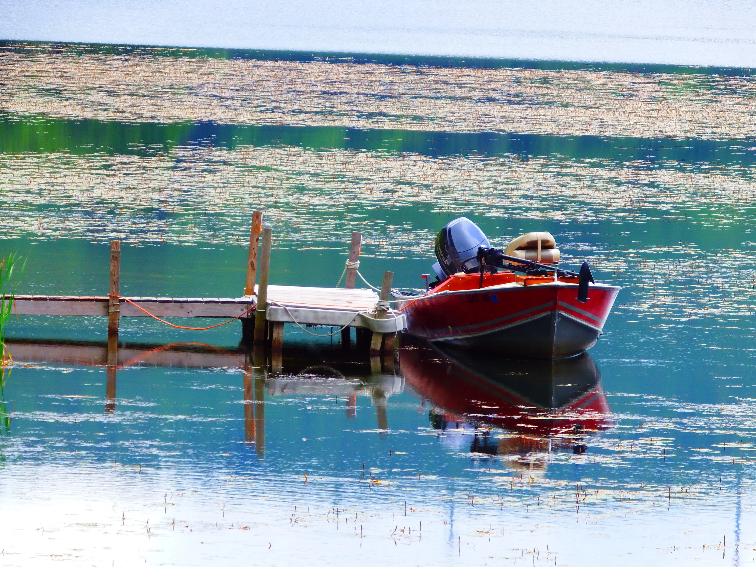 Leadership Lessons of an Underdog Super Bowl-Winning Coach