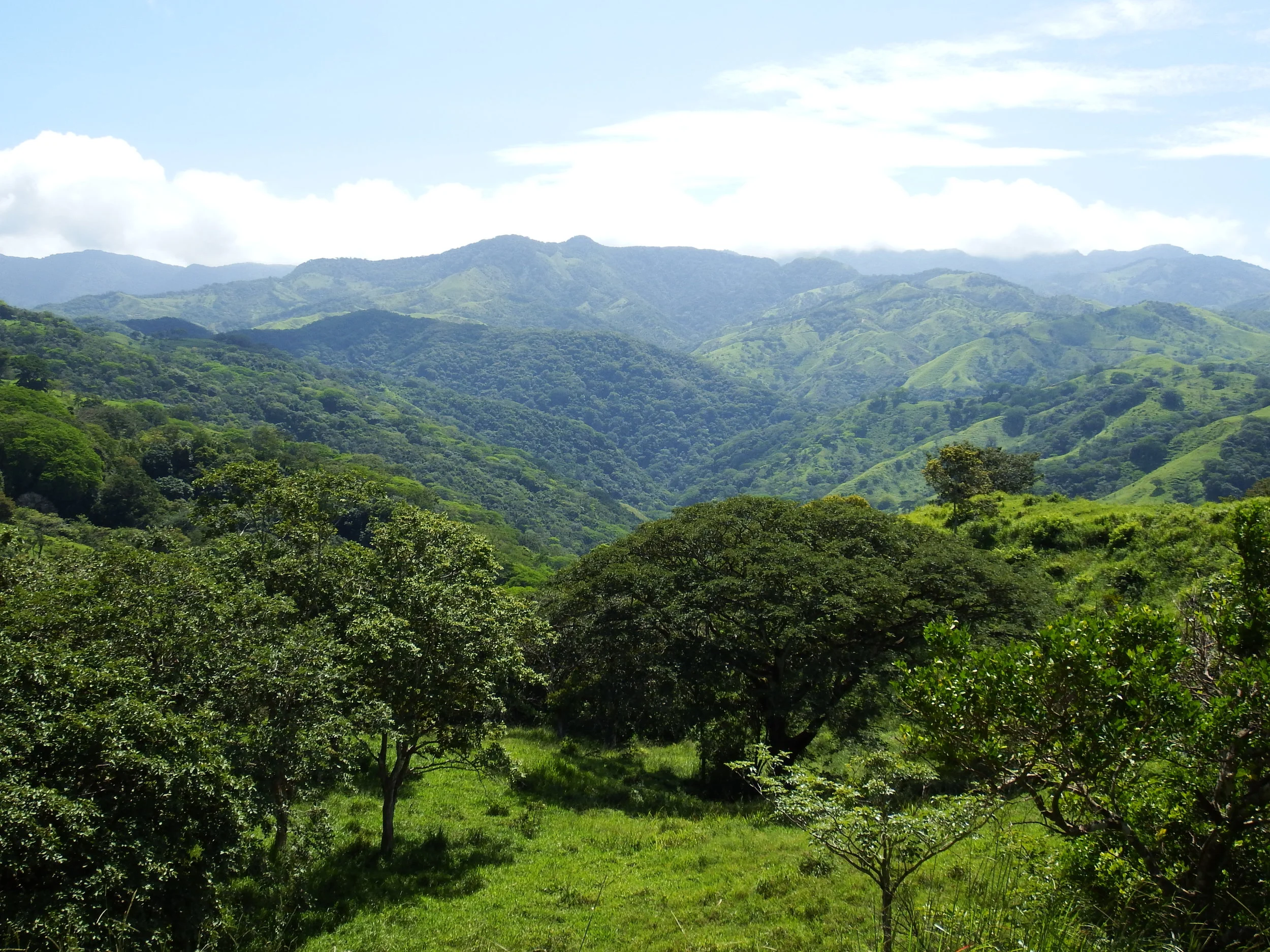 Conviction: The Leader’s Differentiator