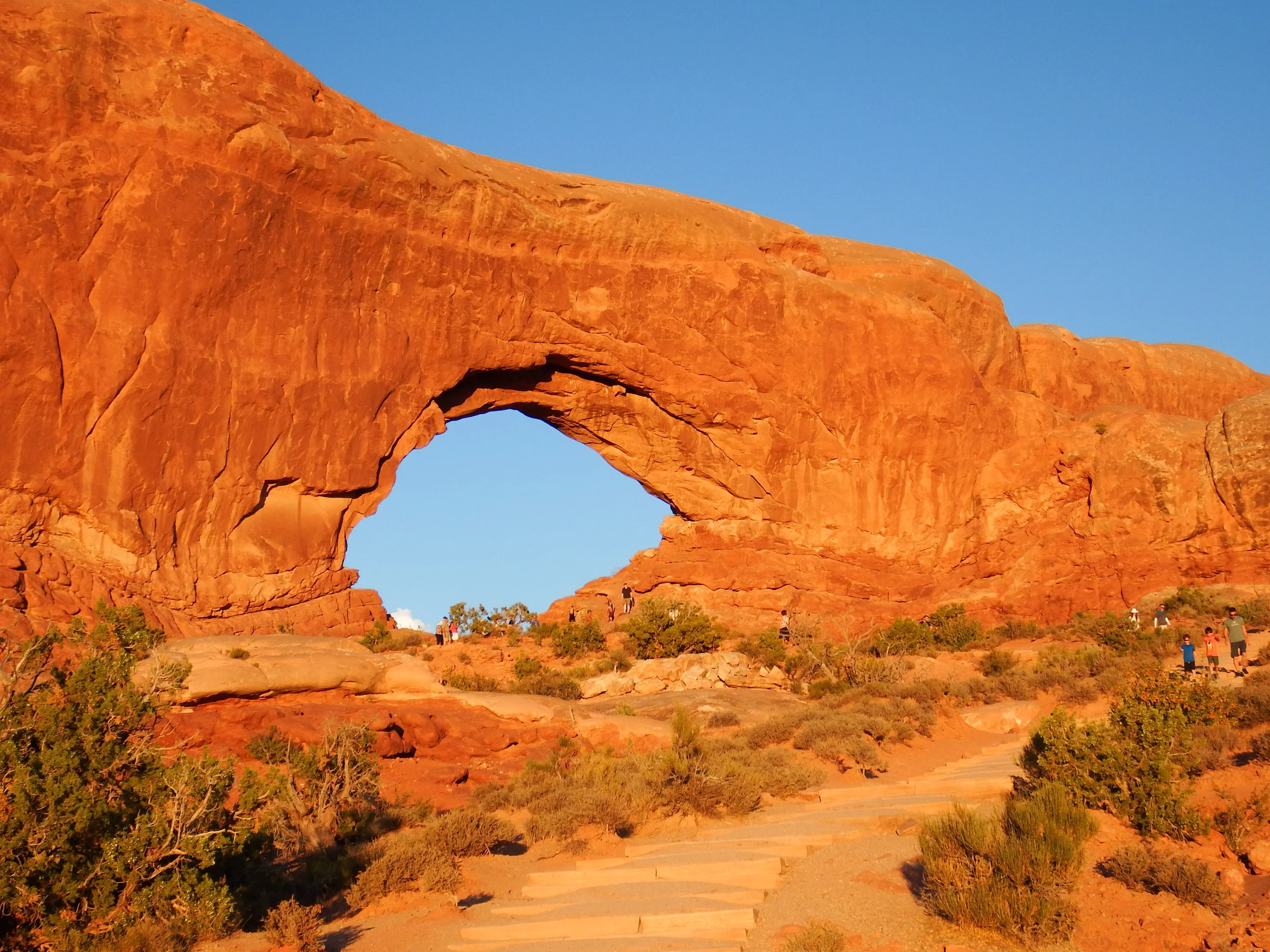 Honesty: The Intent Not to Deceive