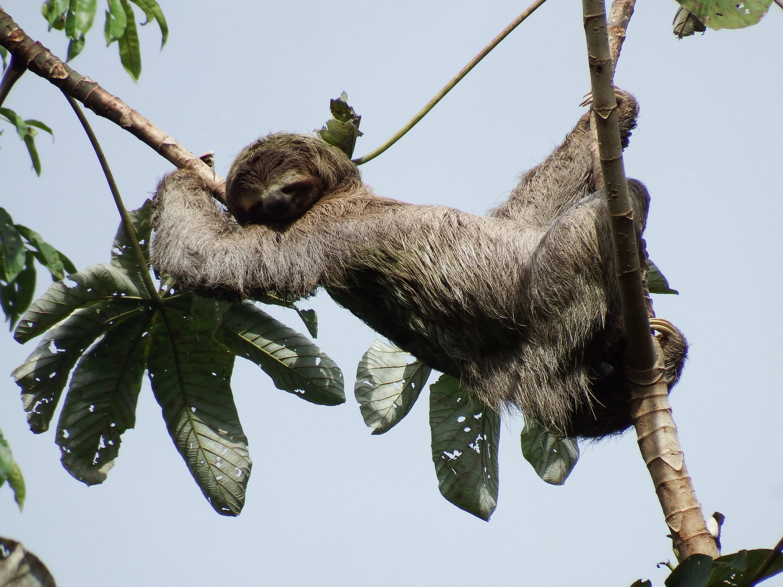 Build an Energy Foundation for a Marathon