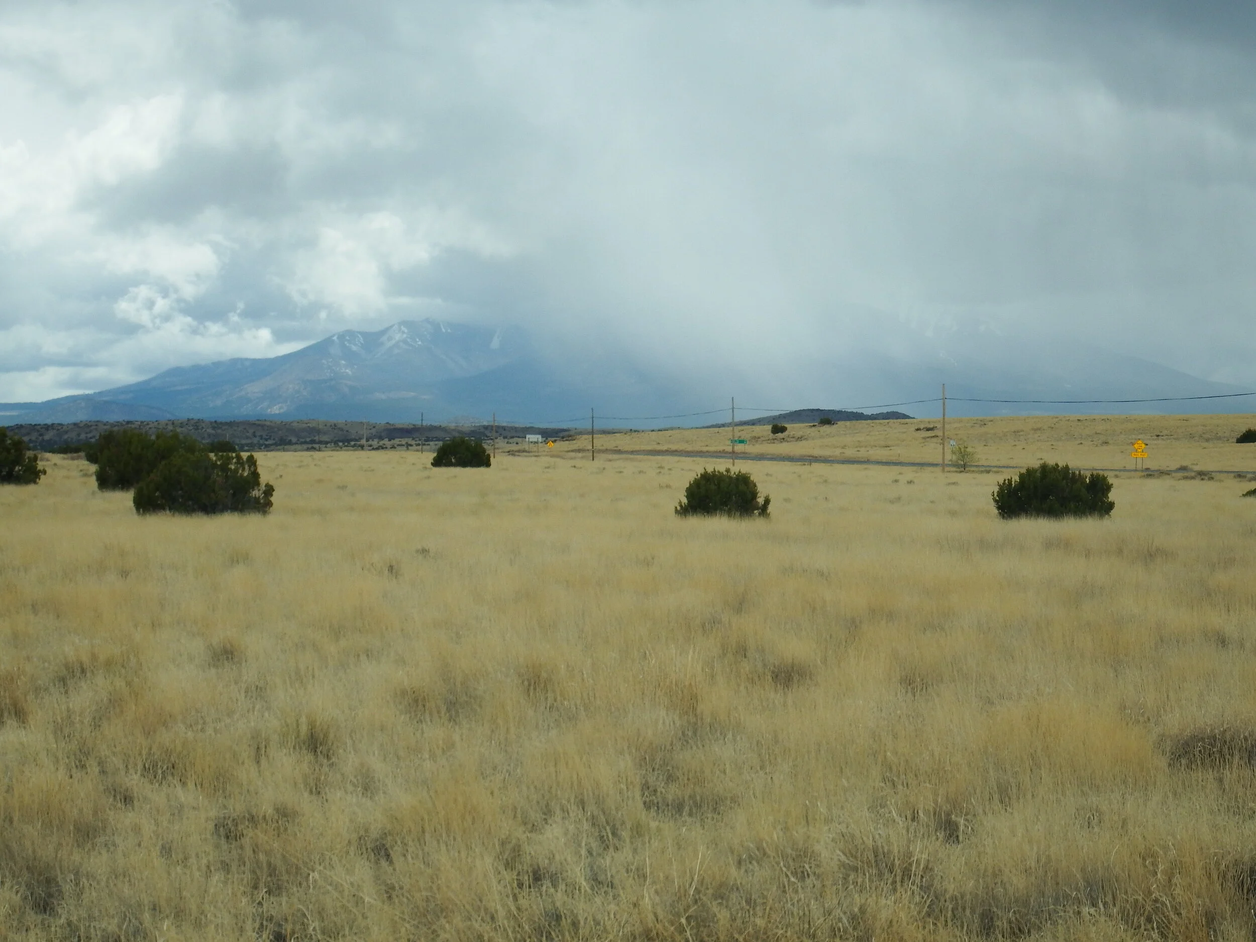 The Not-So-New Normal