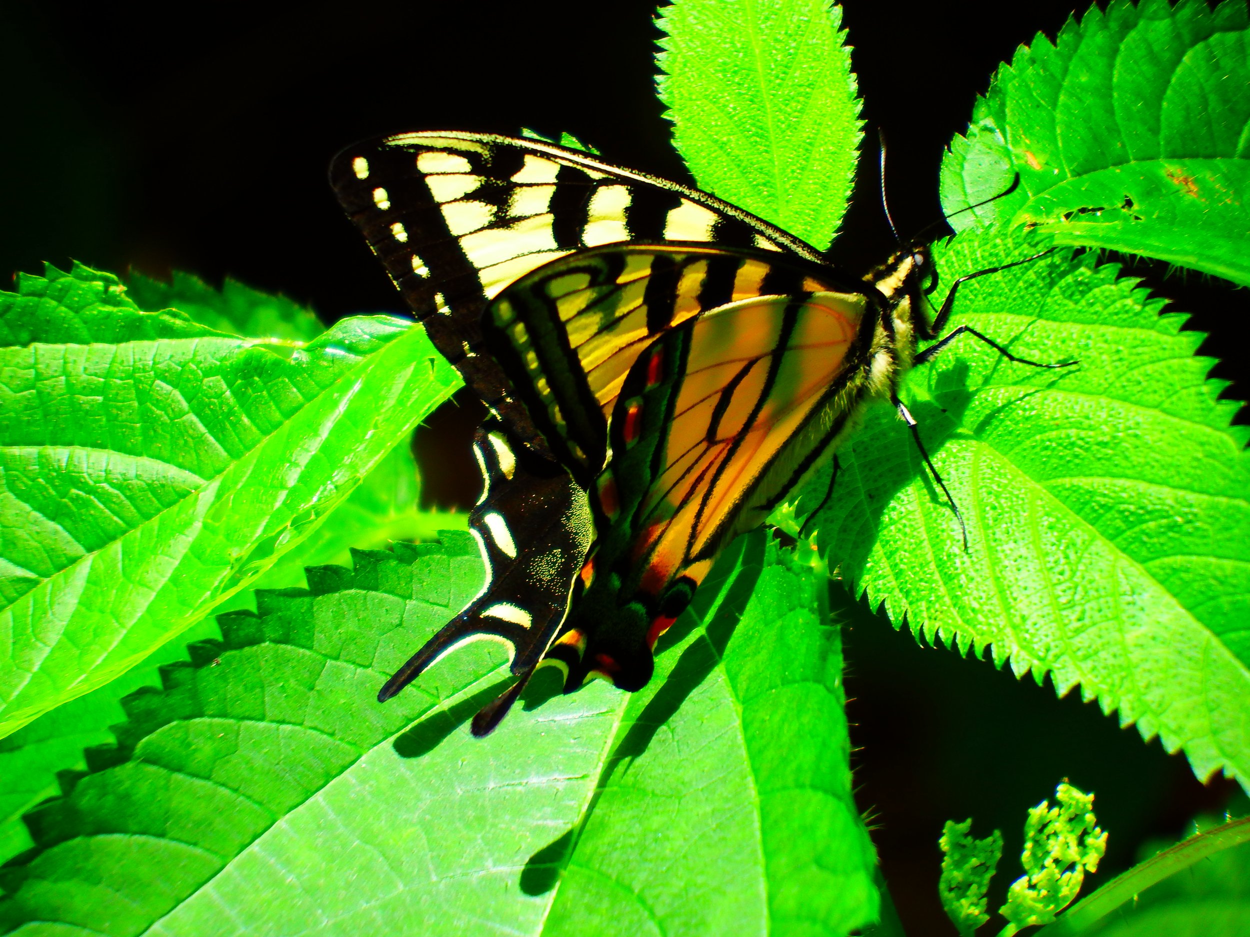 Athletes Value Coaching. Do You? 