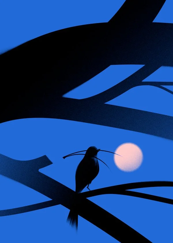 HoxGalleryRome_michelemarconi_50x70.jpg