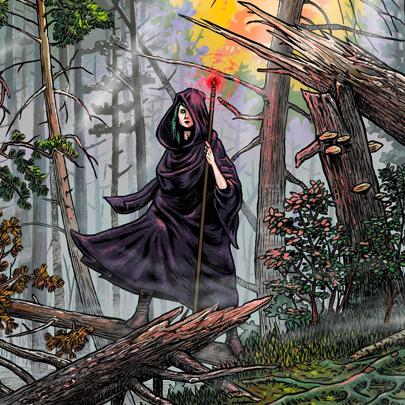 forest-closeup.jpg