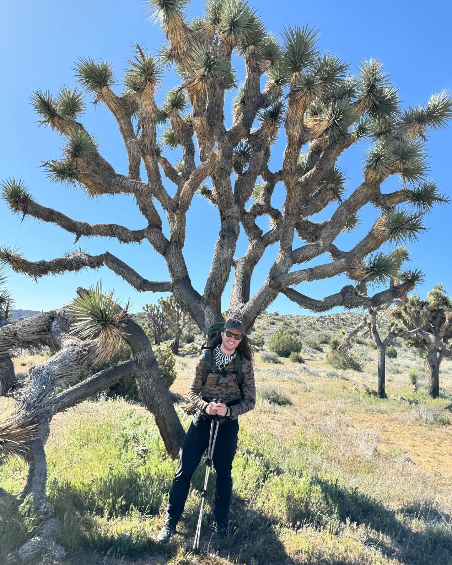 🏜️Joshua Tree was an eerie place full of strange alien  plant life and we had a grand ol' time exploring in the desert. @ghoul_zone @mattklisz 🌵Convinced that one of these grotesque things we encountered had to have been The Joshua Tree. It's aroun