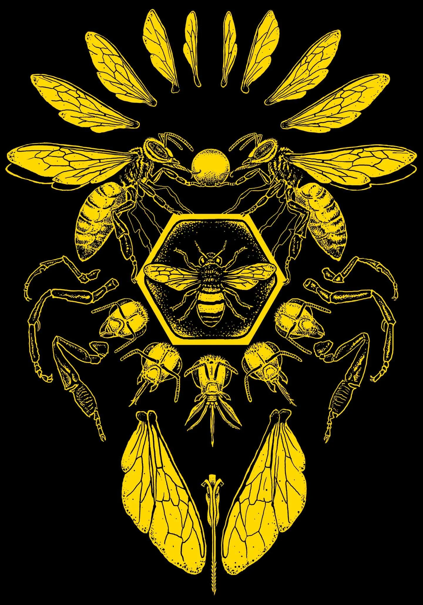 HONEYBEES_tshirtdesignFLAT.jpg