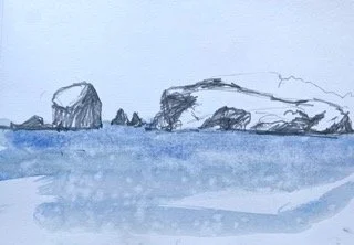 Bosta study
