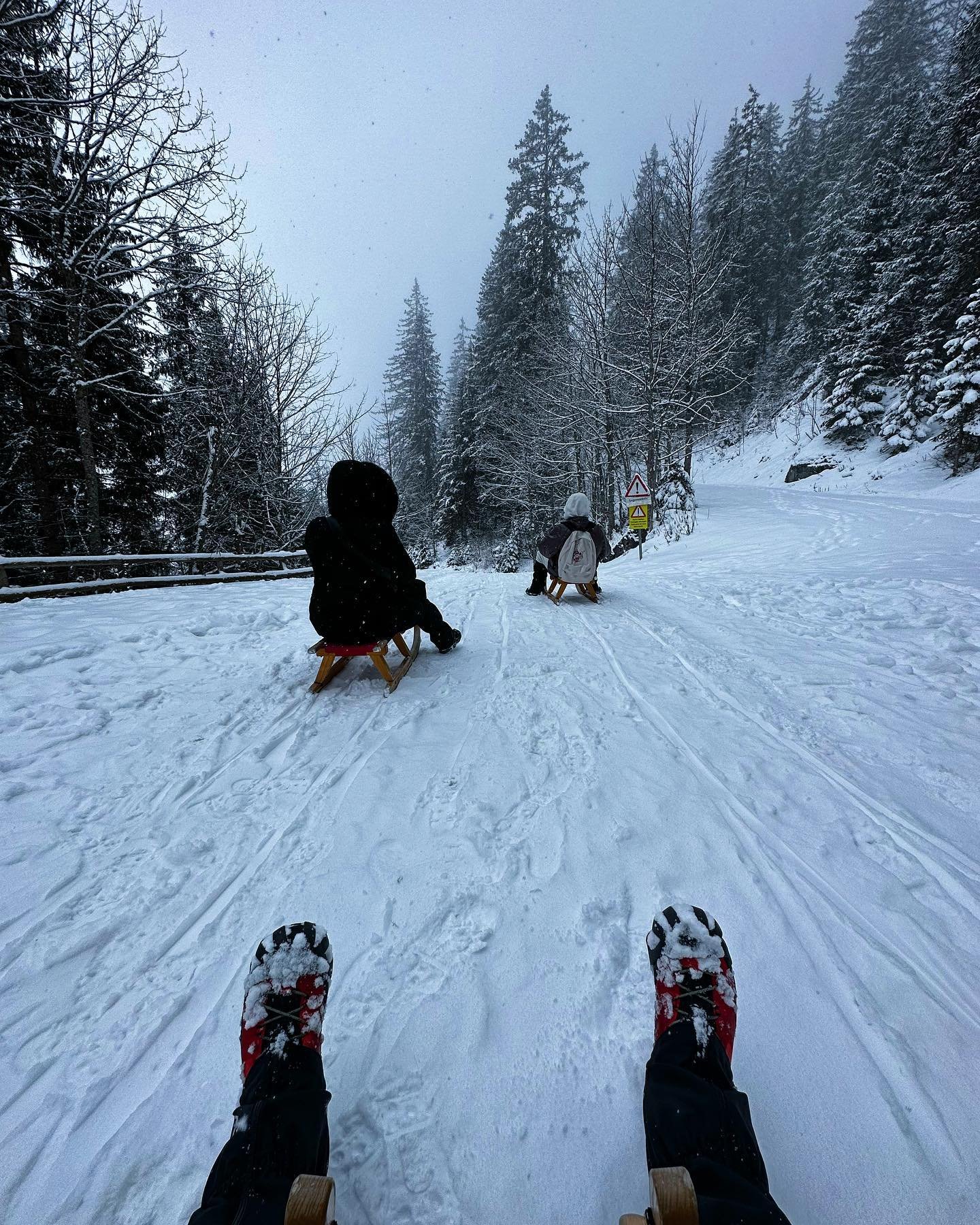 First time in Switzerland and first time sledding for Jia and Minhee from South Korea. This is what we call a win-win situation ❤️🇨🇭
