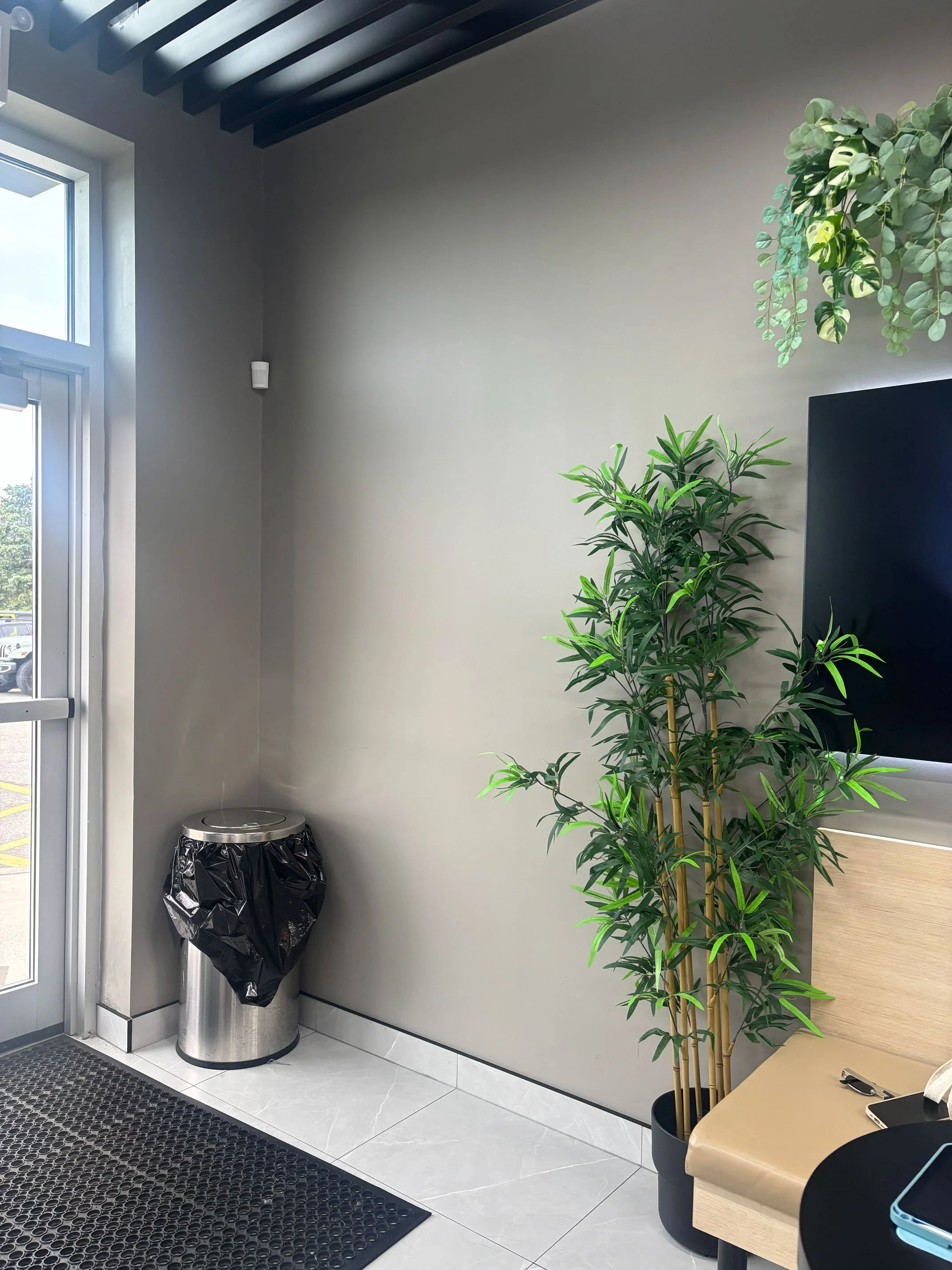 Grey wall with trash can and fake plants