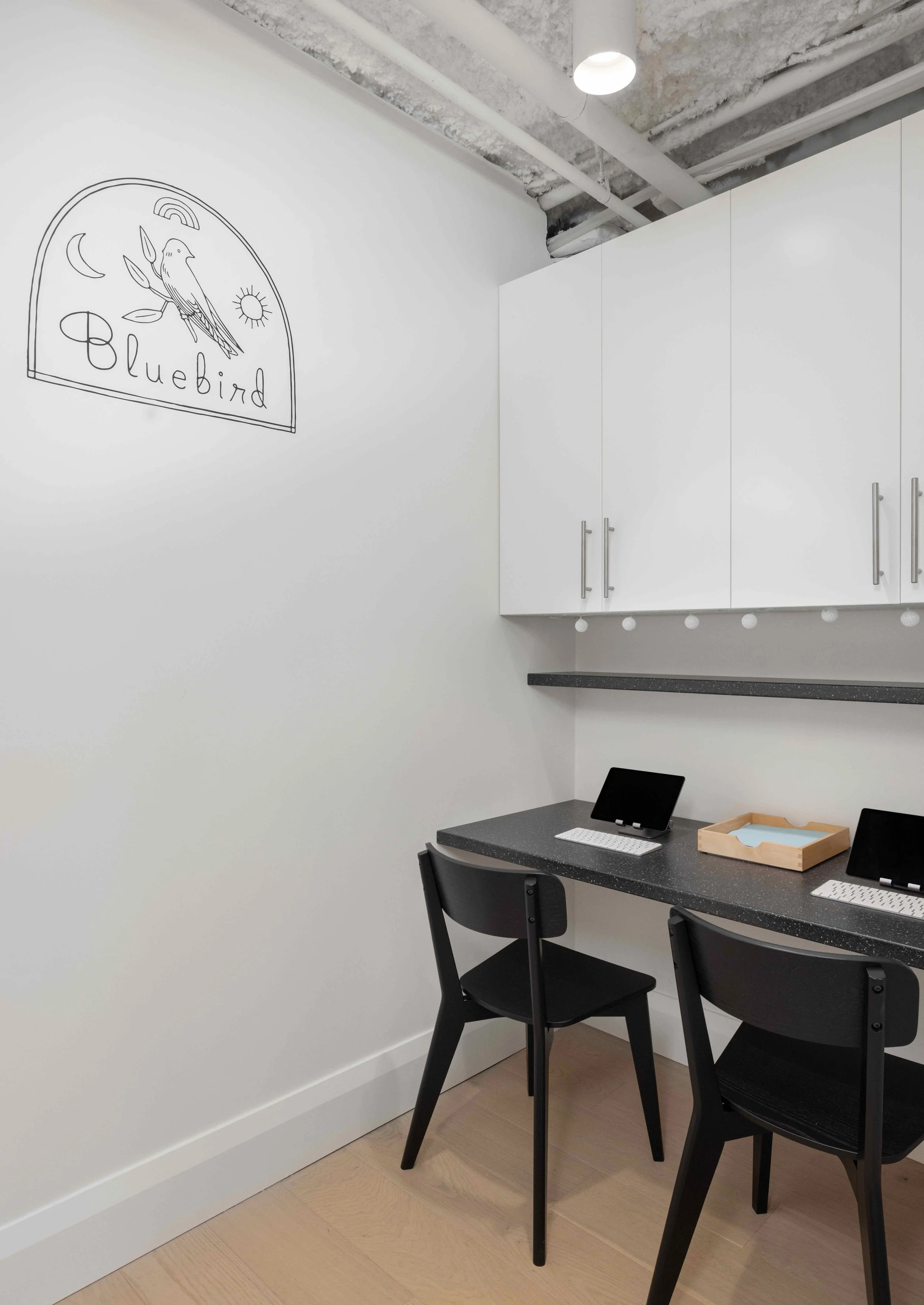 Bluebird - Laser Hair Removal Clinic in Toronto — Sansa Interiors