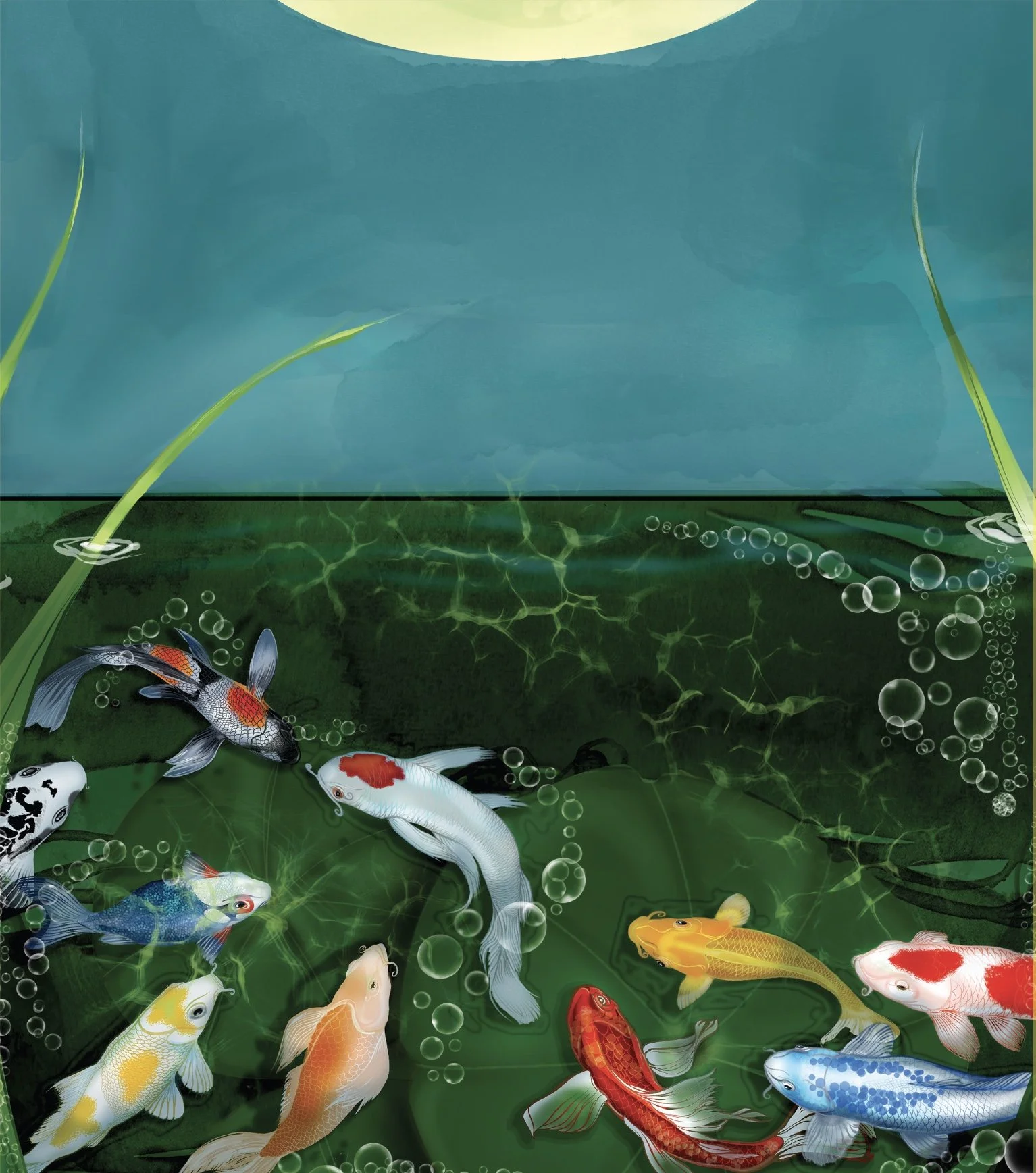 Image 11-17-25 at 12.00 PM.jpeg