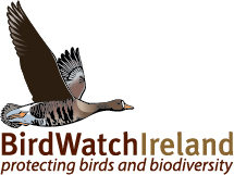 BirdWatch Ireland