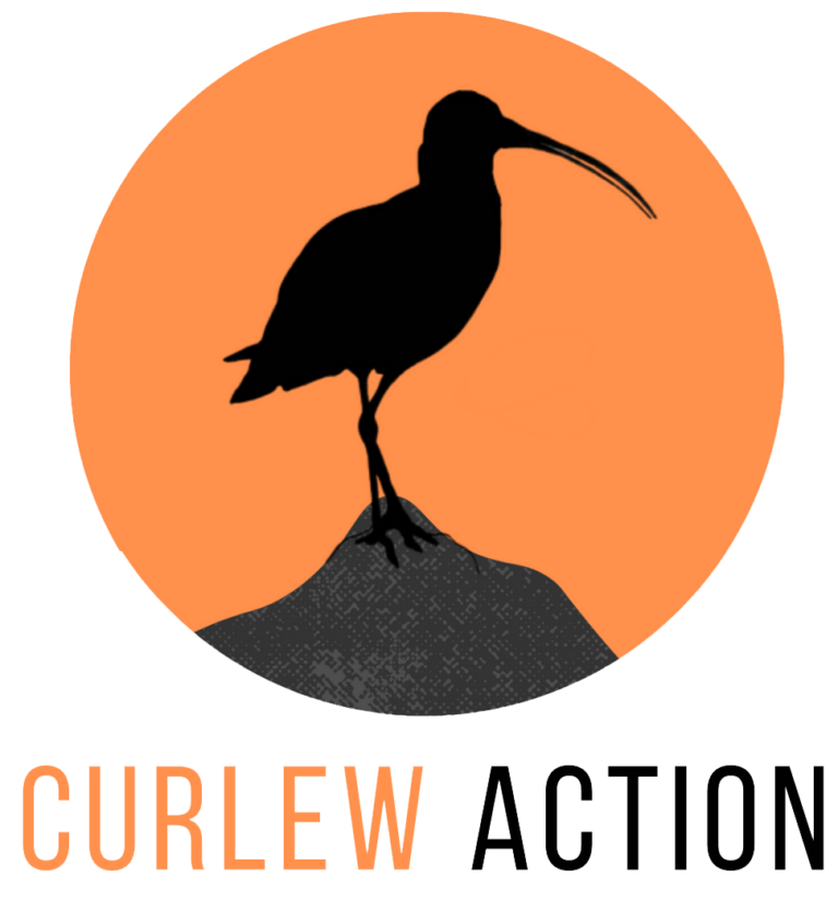 Curlew Action logo .png