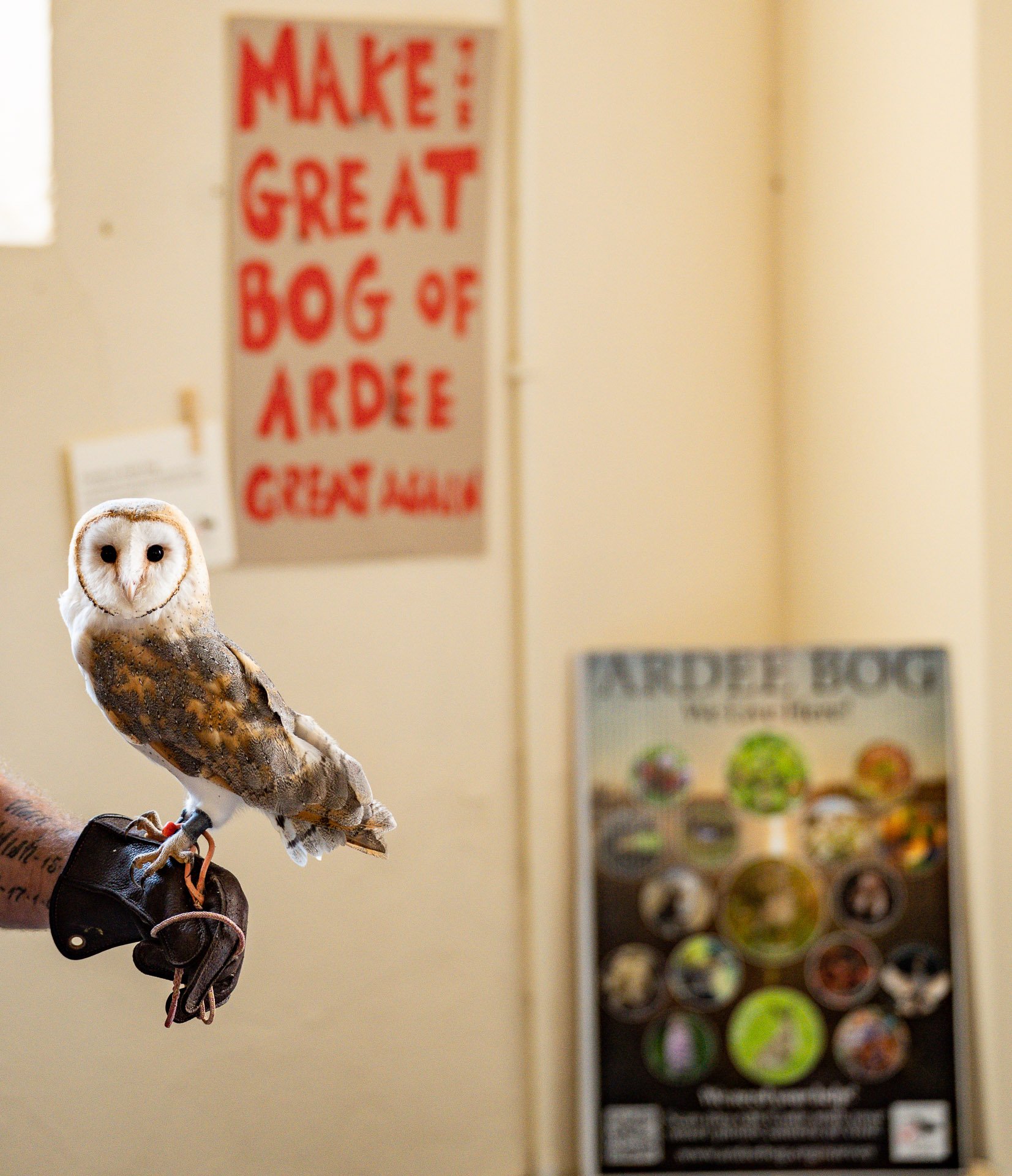 09-September-2022-20220924-LouthBarnOwlProject_A744111.jpg