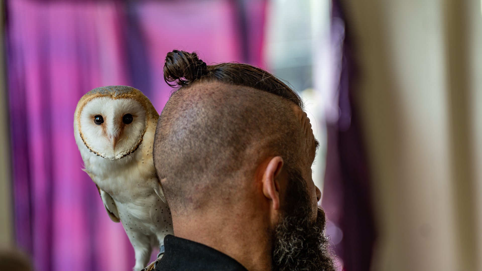 09-September-2022-20220924-LouthBarnOwlProject_A744116.jpg