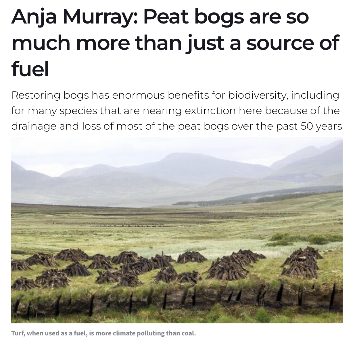 Peat bogs are so much more than just a source of fuel — Ardee Bog