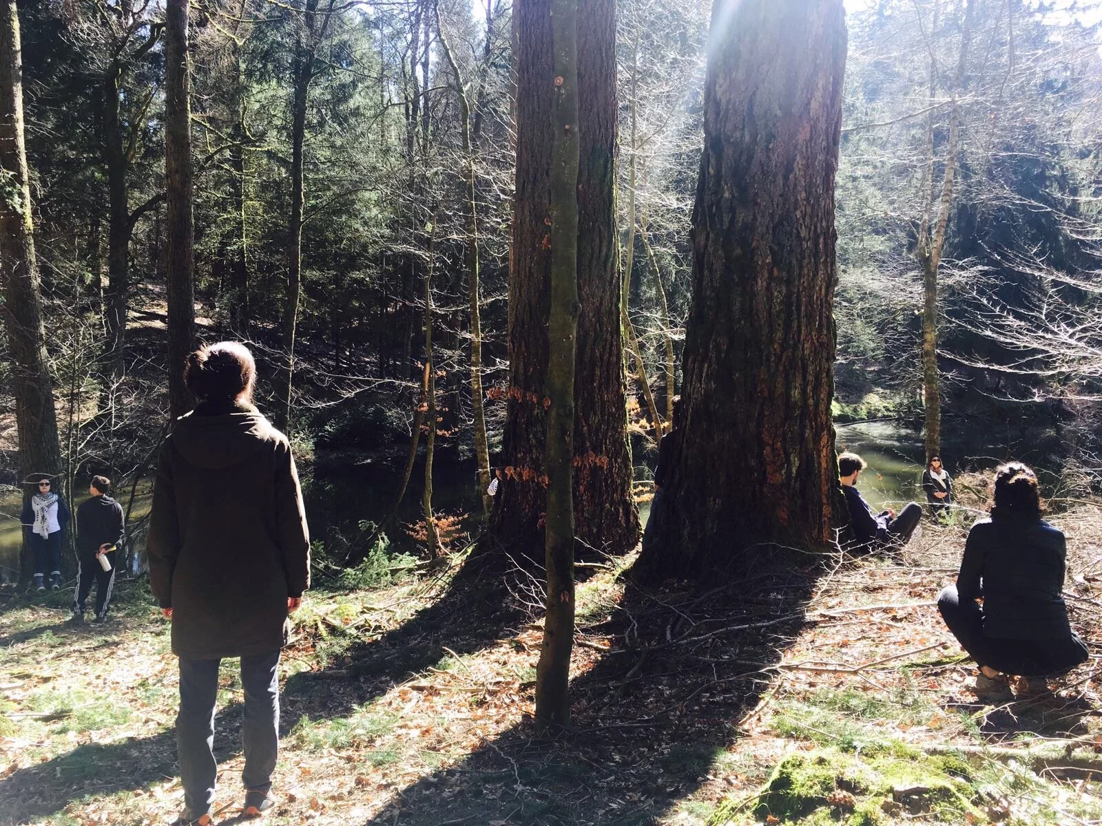 Journée de méditation - L’appel du vivant