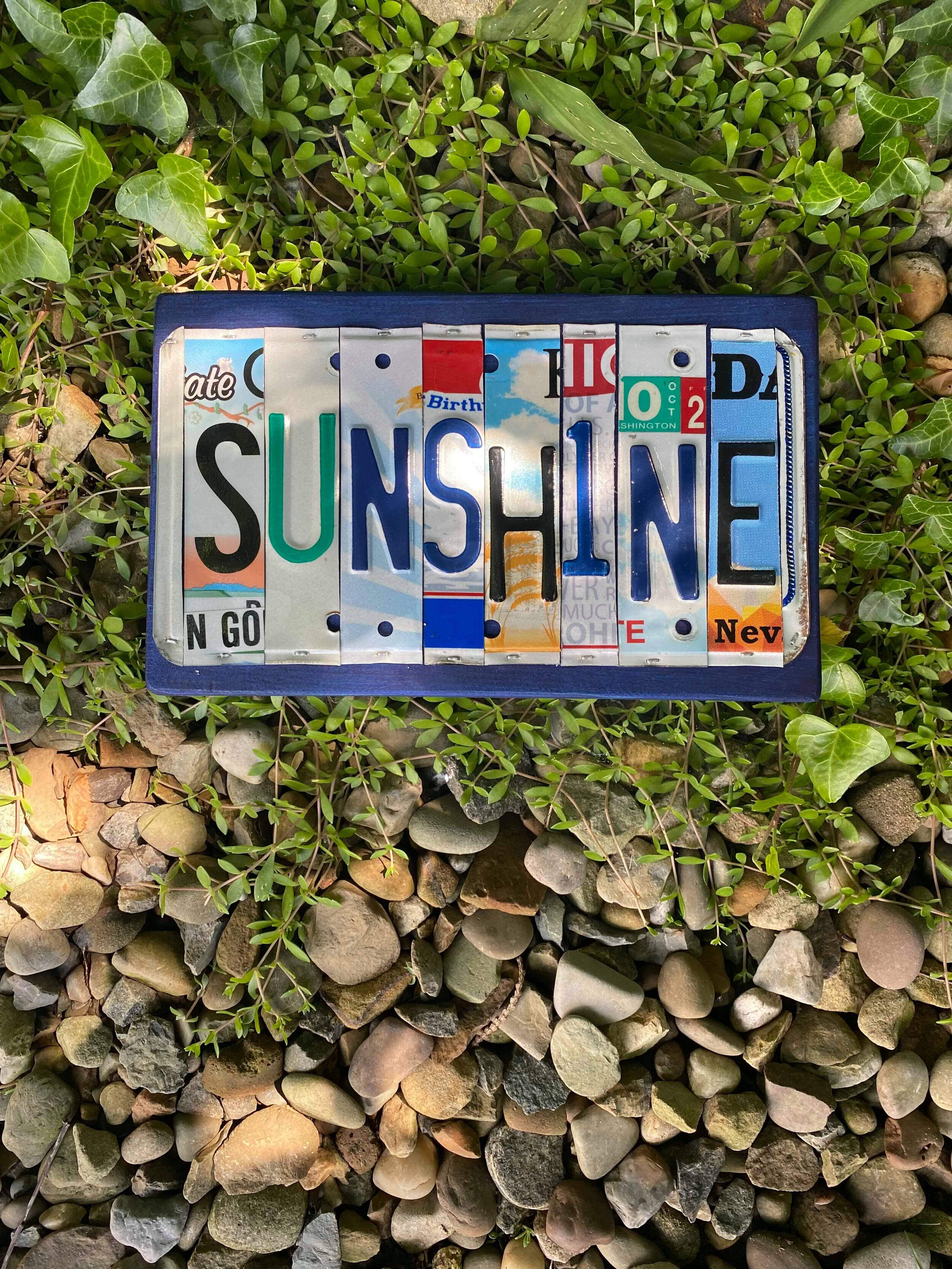"Sunshine" License Plate Sign