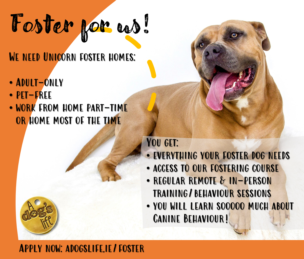 Humane Society Foster To Adopt Dog Contract Humane Society Foster