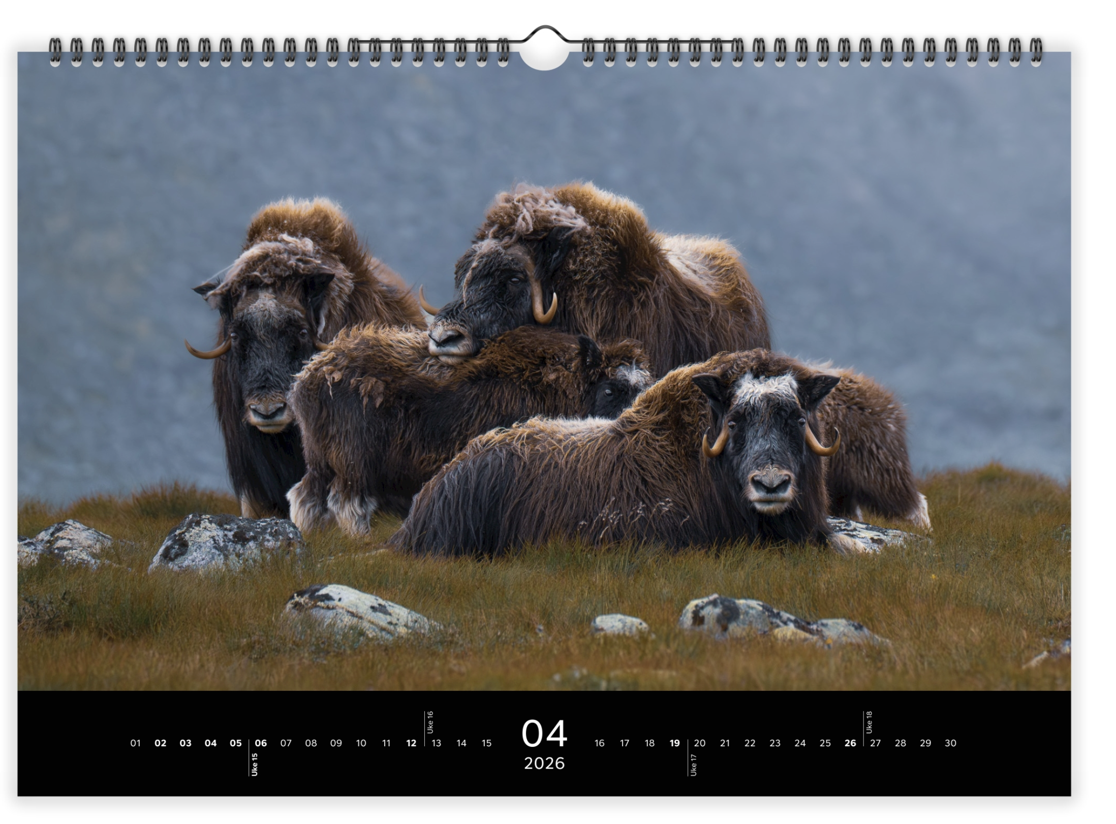 Skærmbillede 2025-12-07 kl. 11.55.55.png