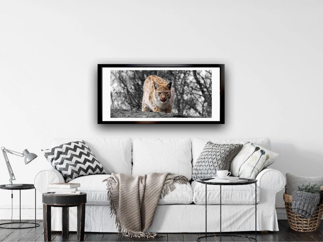 F08E04C2-DDF5-4216-B1FA-9988D7926070