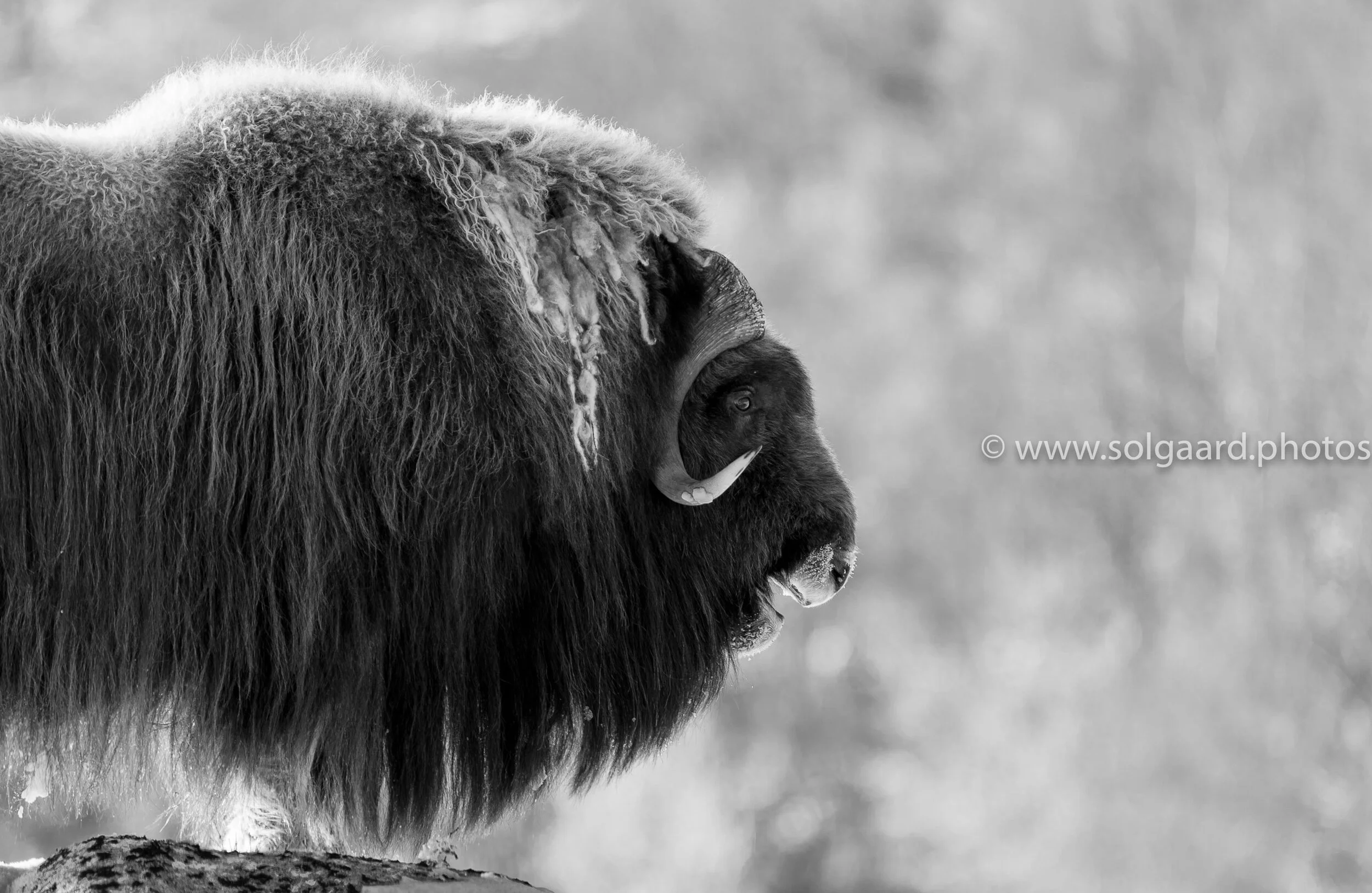 0EFC9357-5978-4BB1-A805-CD447FB2F77F