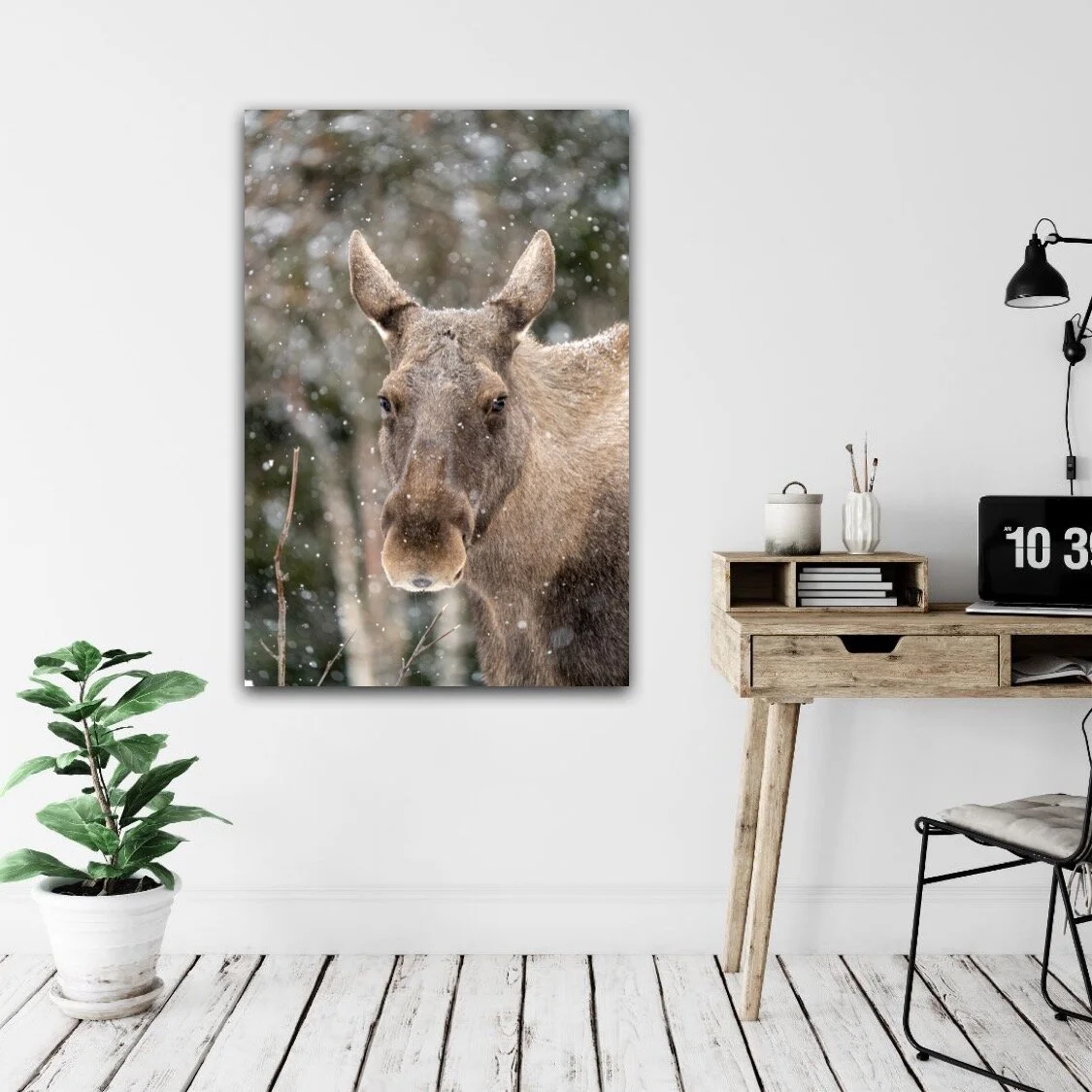 5803136C-7650-4E8E-9815-68C49588224D