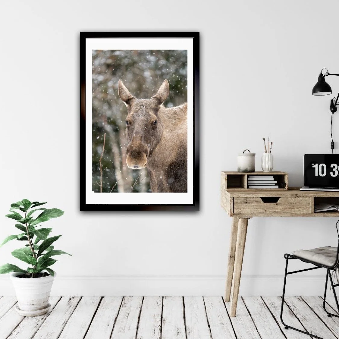 085BF9EE-16D3-4C8D-9AC0-F072404D96AB