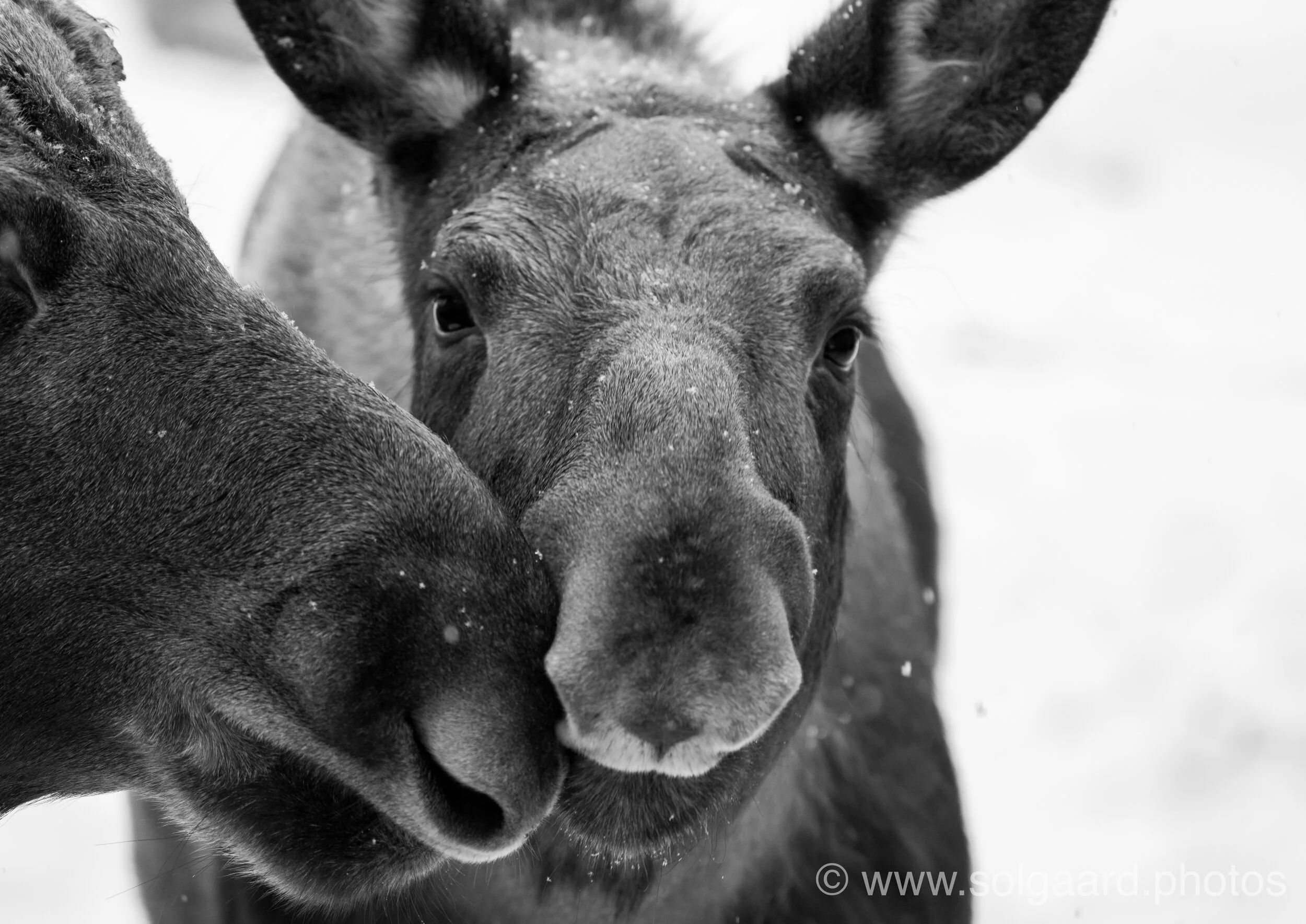 4820DF3F-BA3E-4B84-BC61-BD9C022B9898