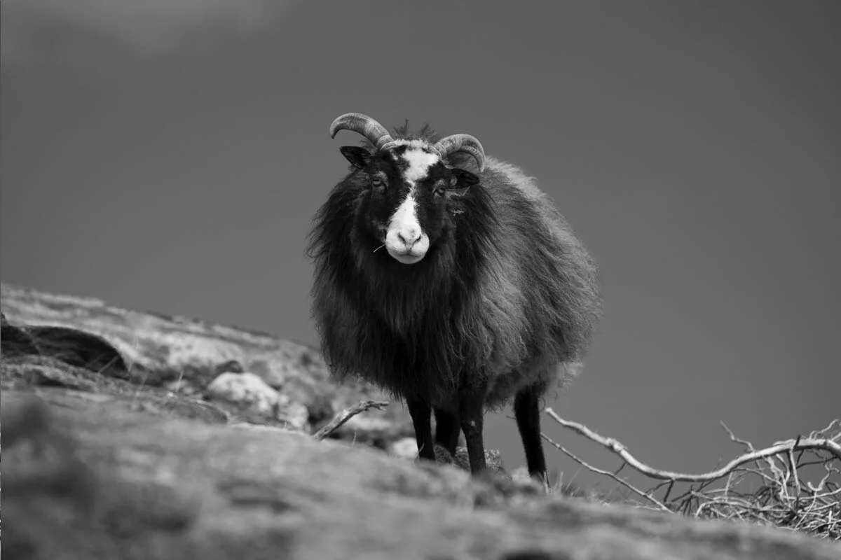 64E482EF-A2FB-40B2-9D14-F1D7C0928429