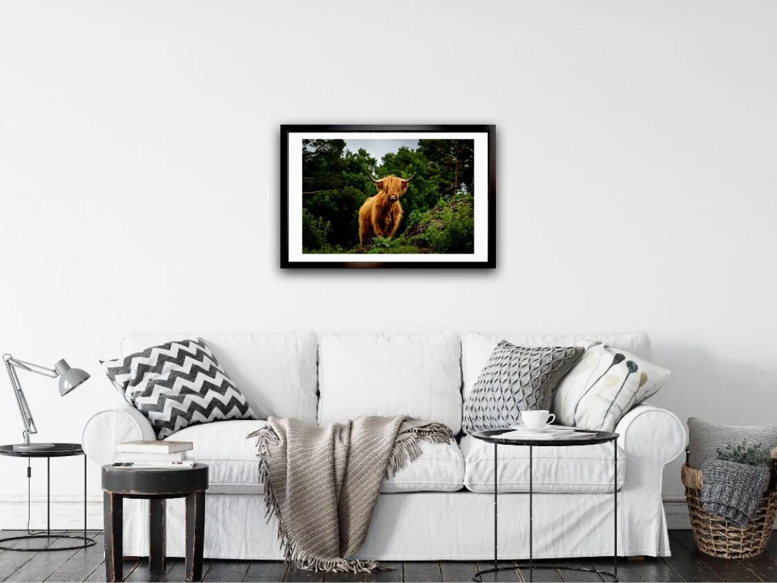 DB46742C-4673-424B-A721-7B0803749656