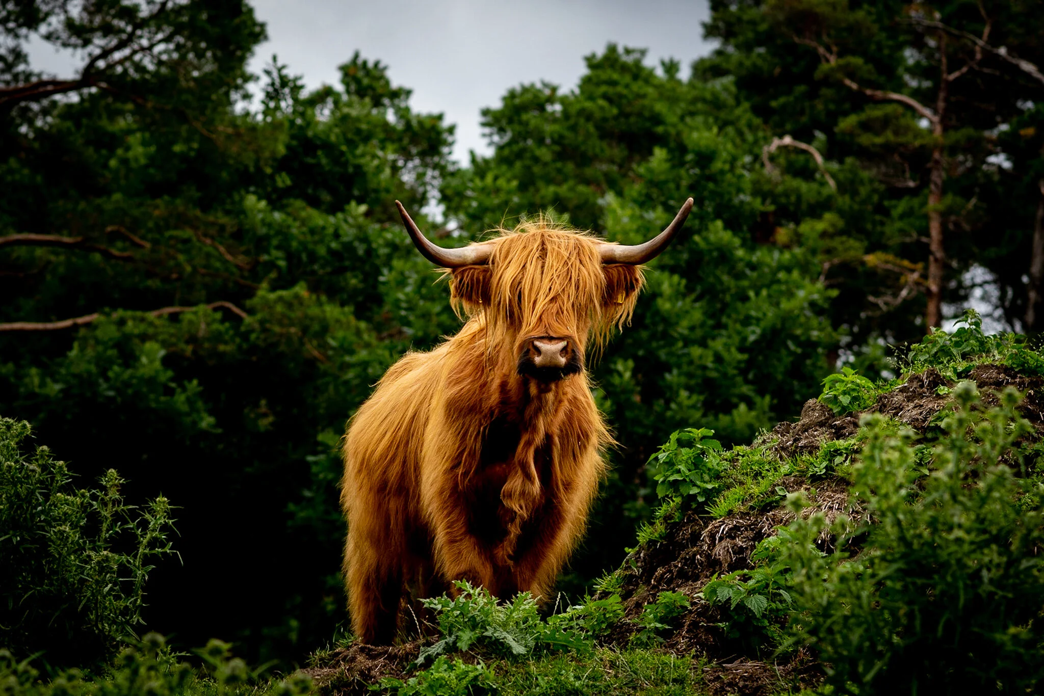 2457BB14-95EB-4C98-AB8A-205A52EC2034