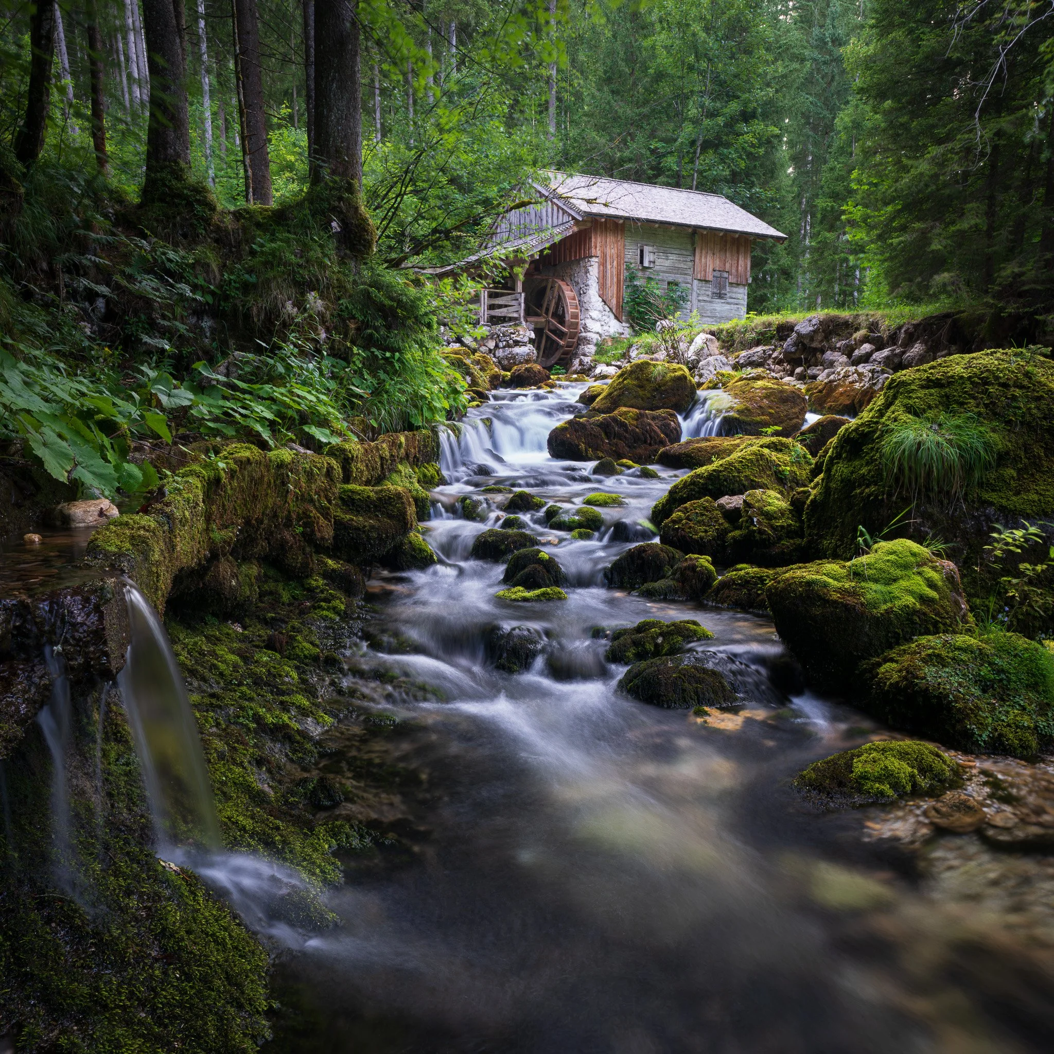 The mill / Austria