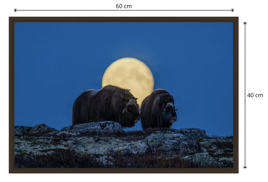 Skærmbillede 2024-12-01 kl. 11.26.33.png