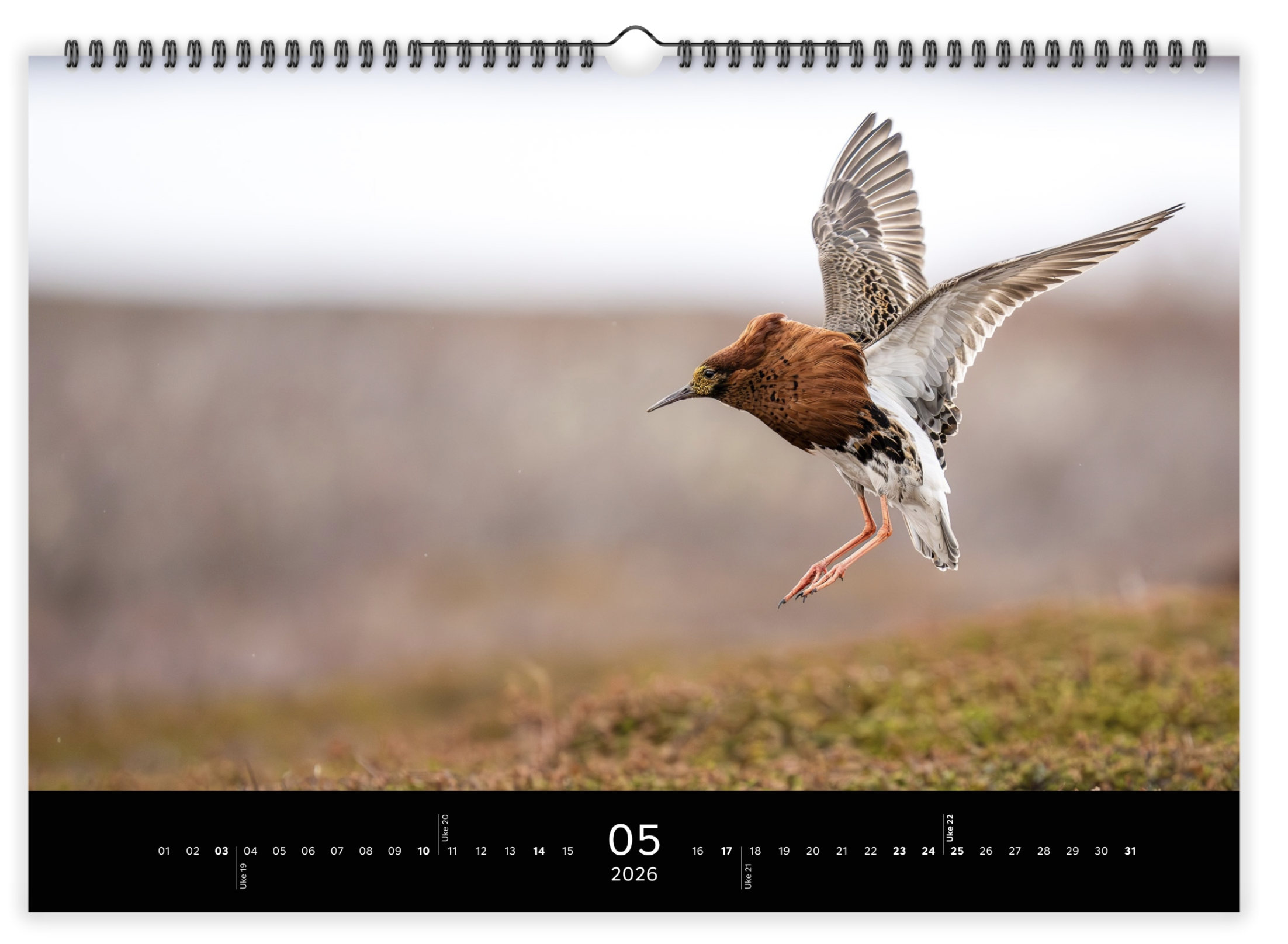 Skærmbillede 2025-12-07 kl. 11.55.41.png