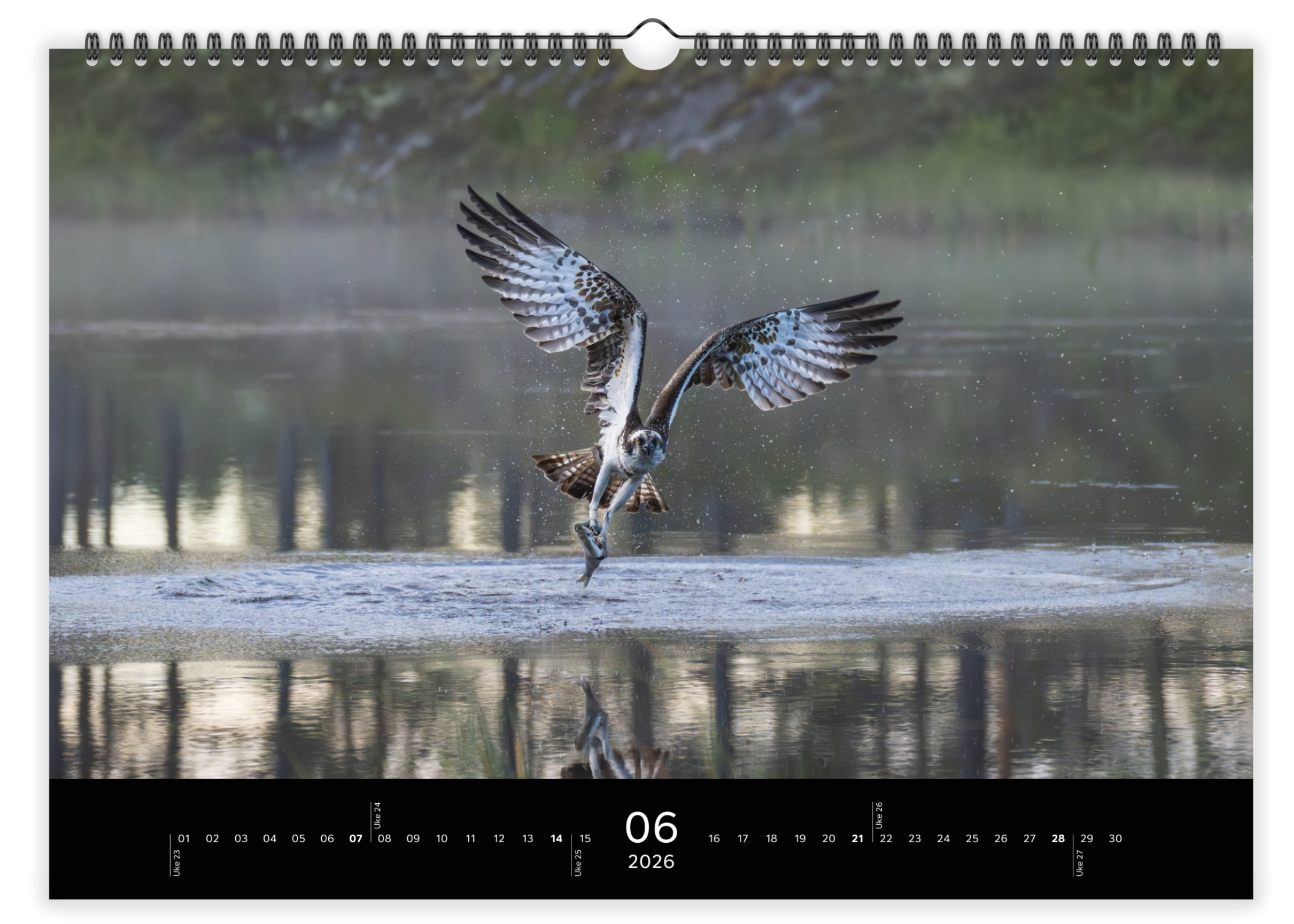 Skærmbillede 2025-12-07 kl. 11.55.32.png