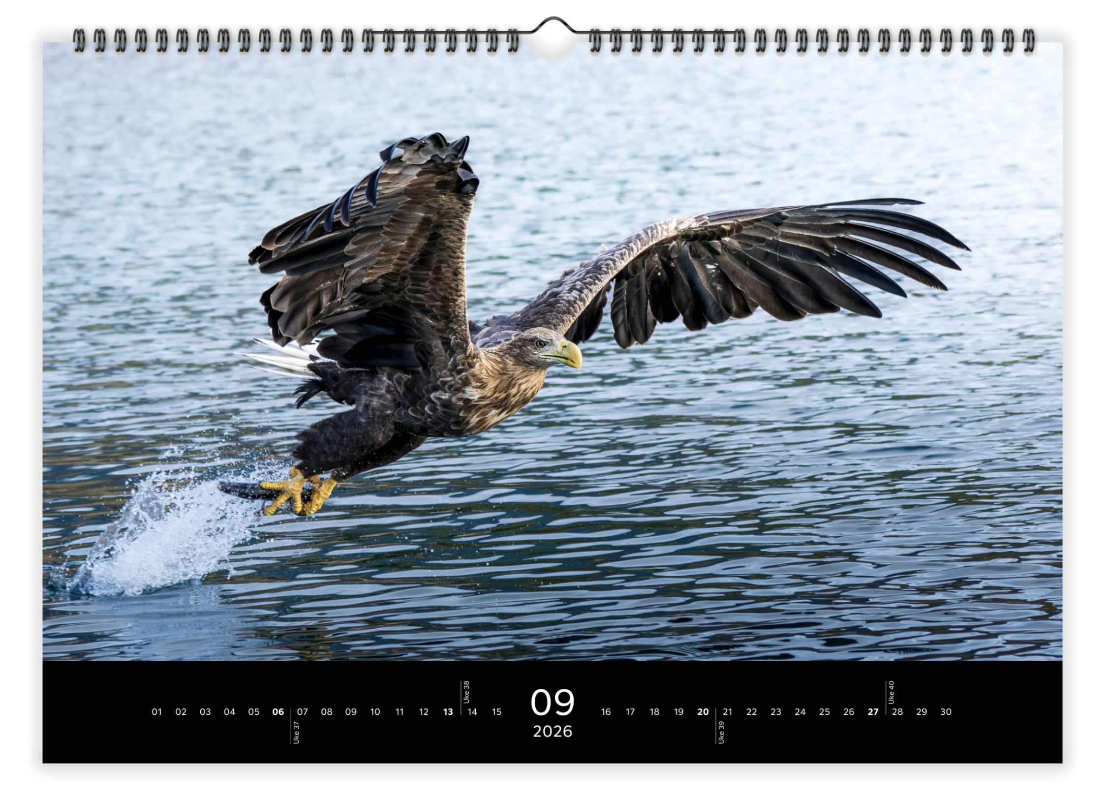 Skærmbillede 2025-12-07 kl. 11.54.57.png