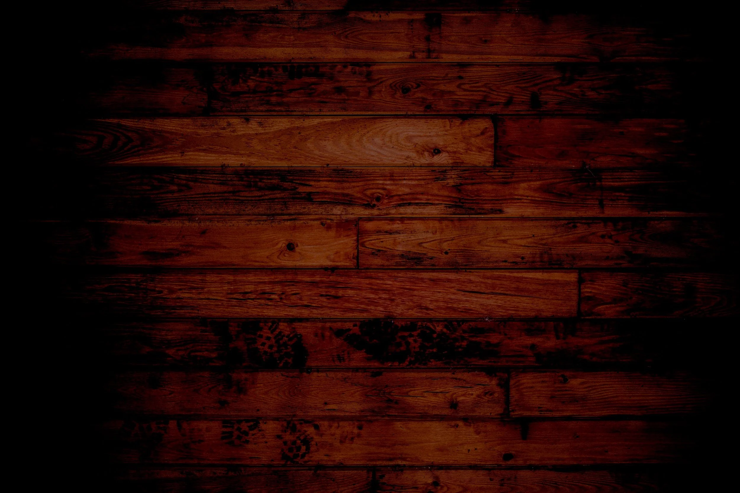 unsplash-image-h0Vxgz5tyXA.jpg
