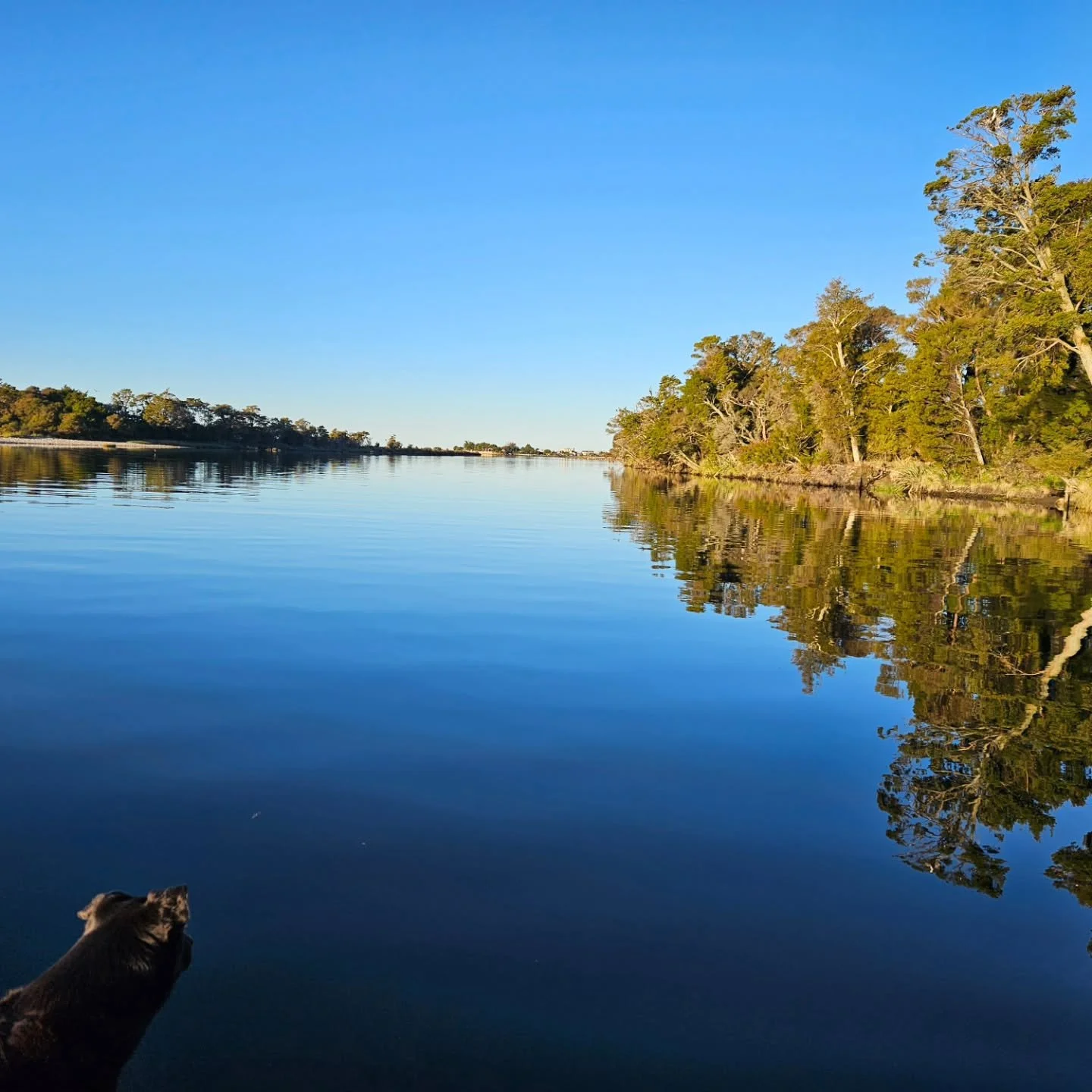 And a sunset paddle with my bestie Beau tonight- couldn't be any more beautiful just loving the light & reflections - Go Collingwood you are truly gorgeous ❤️