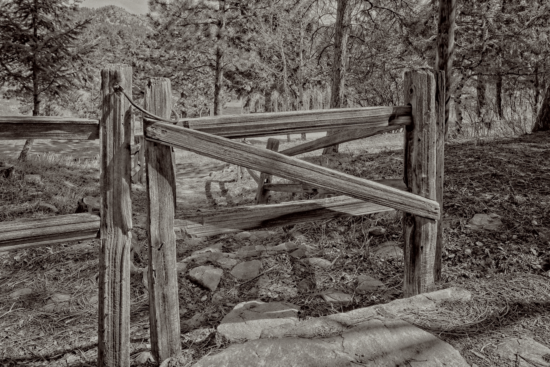 The Story of The 5th Gate