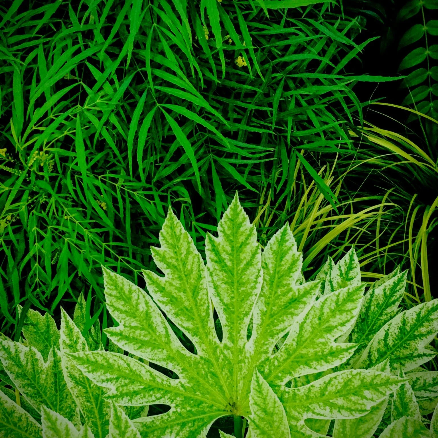 COMMUNITY SPACE // PHILADELPHIA 2017