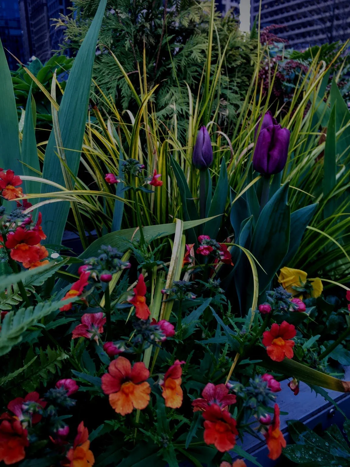 COMMUNITY SPACE // PHILADELPHIA 2017