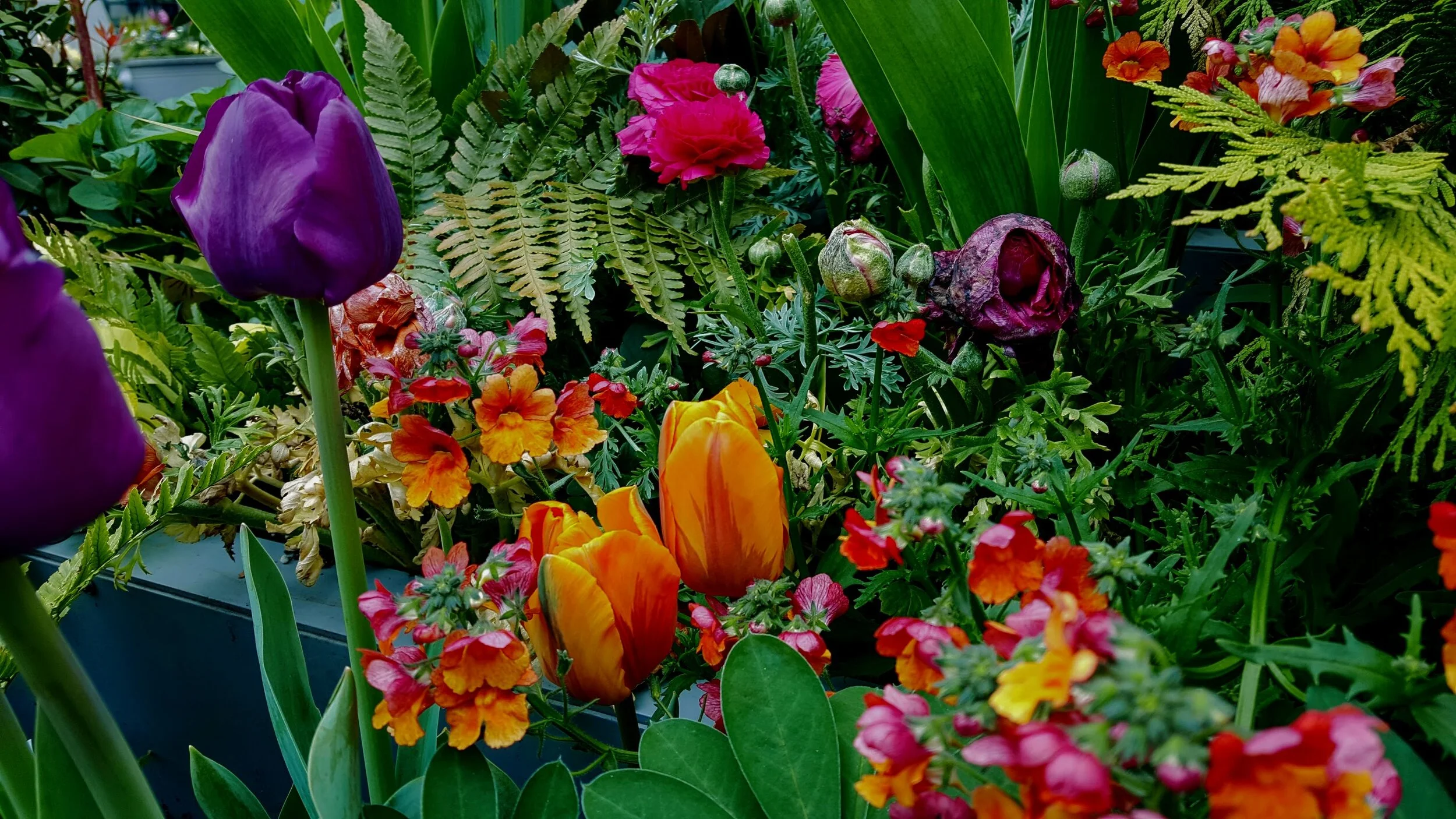 COMMUNITY SPACE // PHILADELPHIA 2017