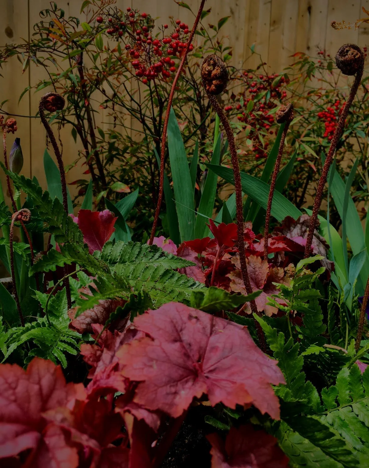 FERN HOUSE // PHILADELPHIA 2016