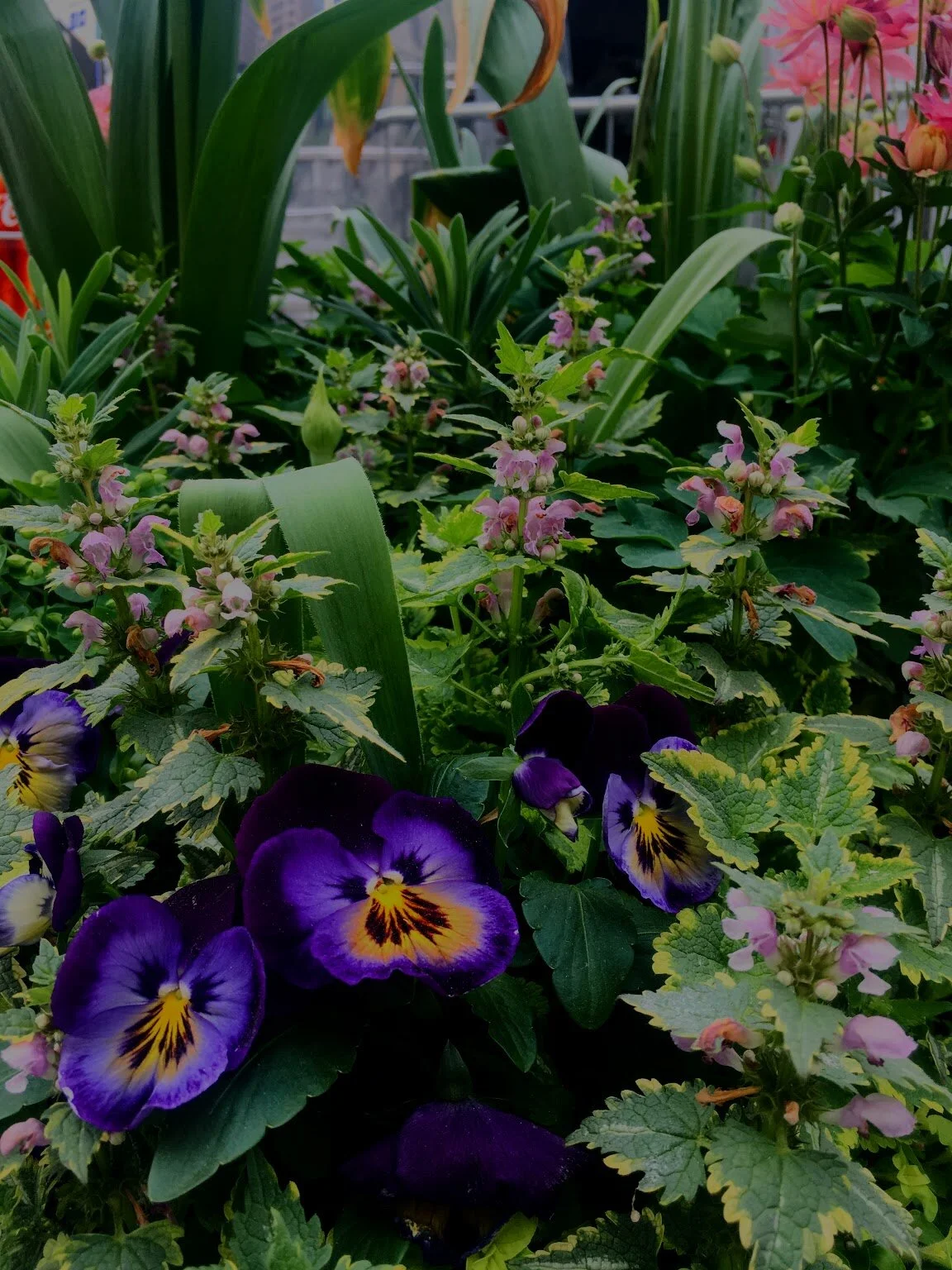 COMMUNITY SPACE // PHILADELPHIA 2016