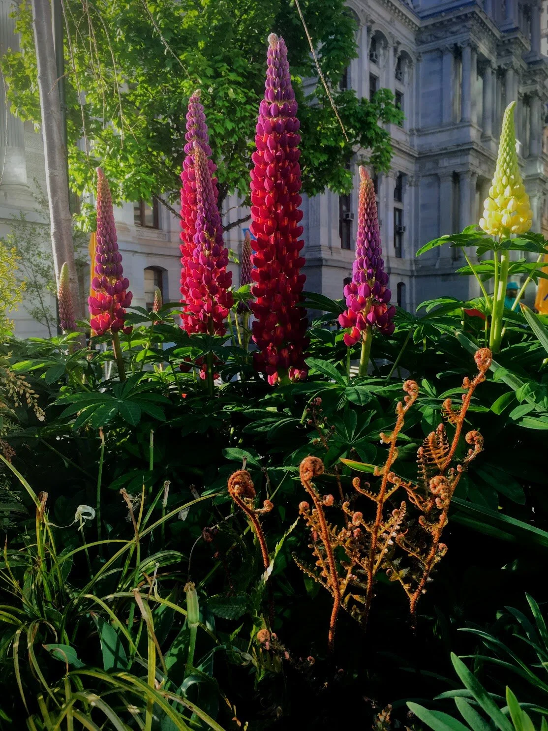 COMMUNITY SPACE // PHILADELPHIA 2016