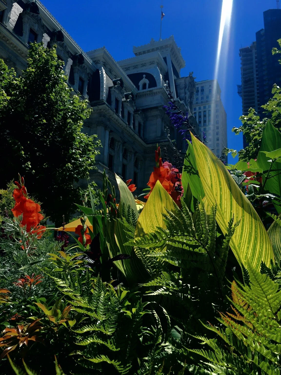 COMMUNITY SPACE // PHILADELPHIA 2017