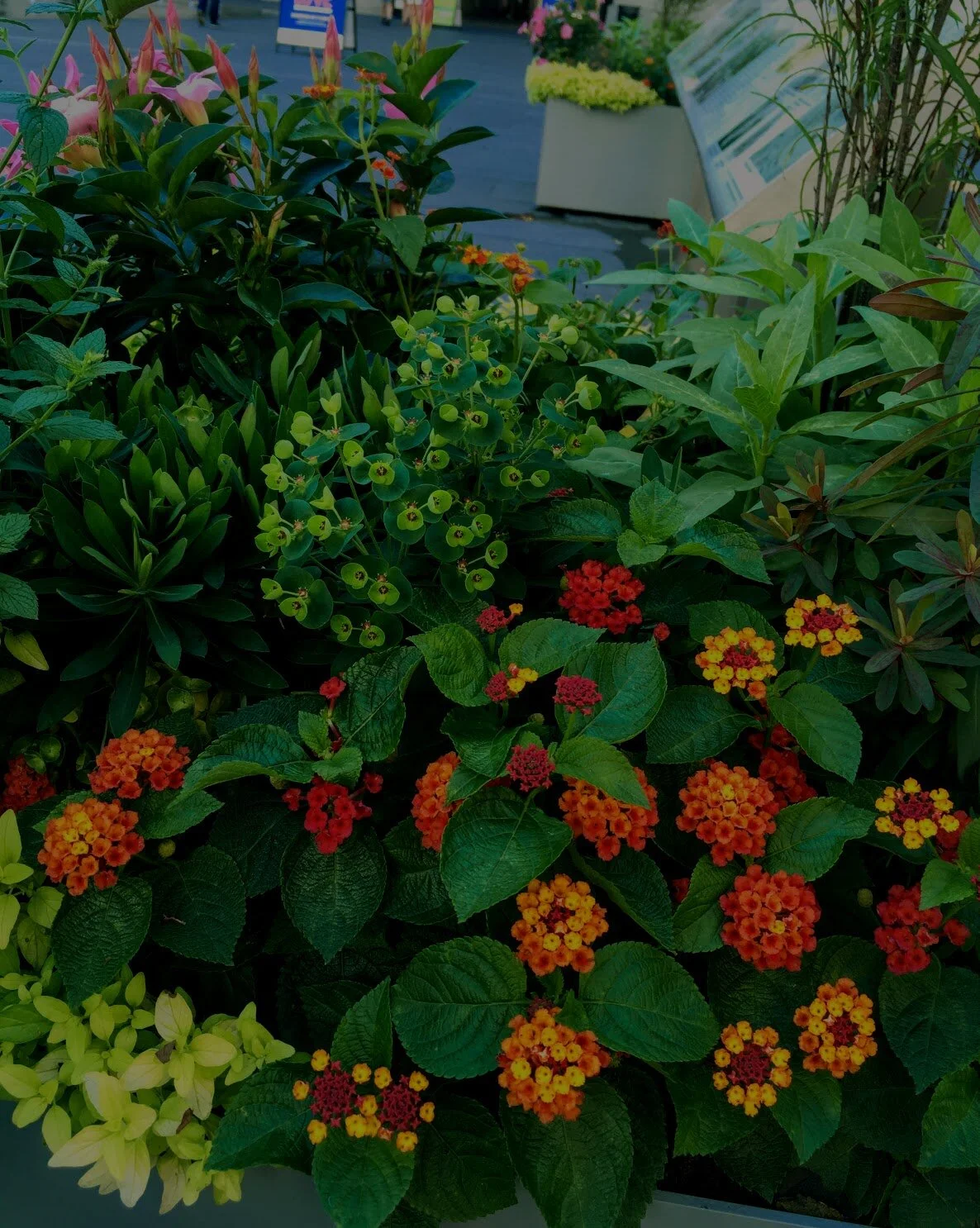 COMMUNITY SPACE // PHILADELPHIA 2017