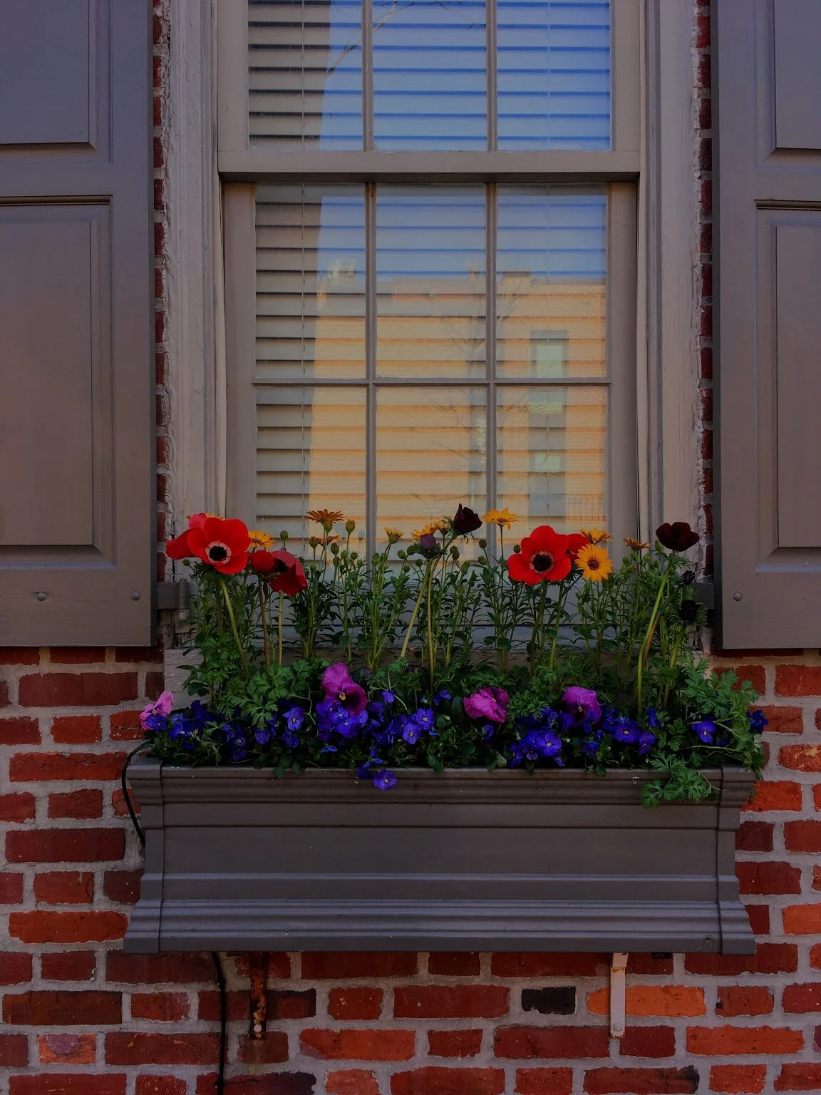 POPPY HOUSE // PHILADELPHIA 2015